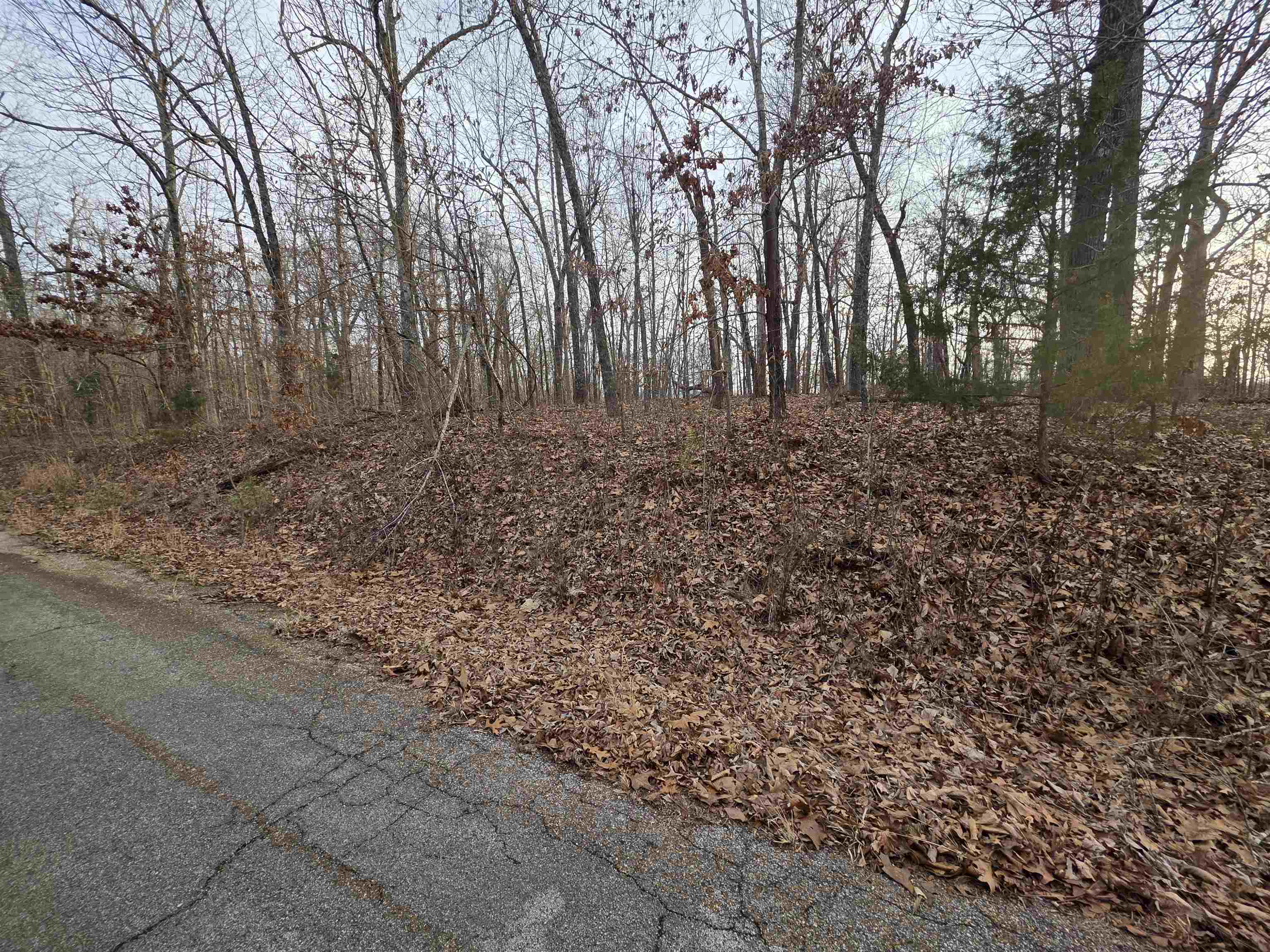 Photo 22 - Vacant Land for sale – 7 Lots  Cherokee Village   Cherokee Village, AR