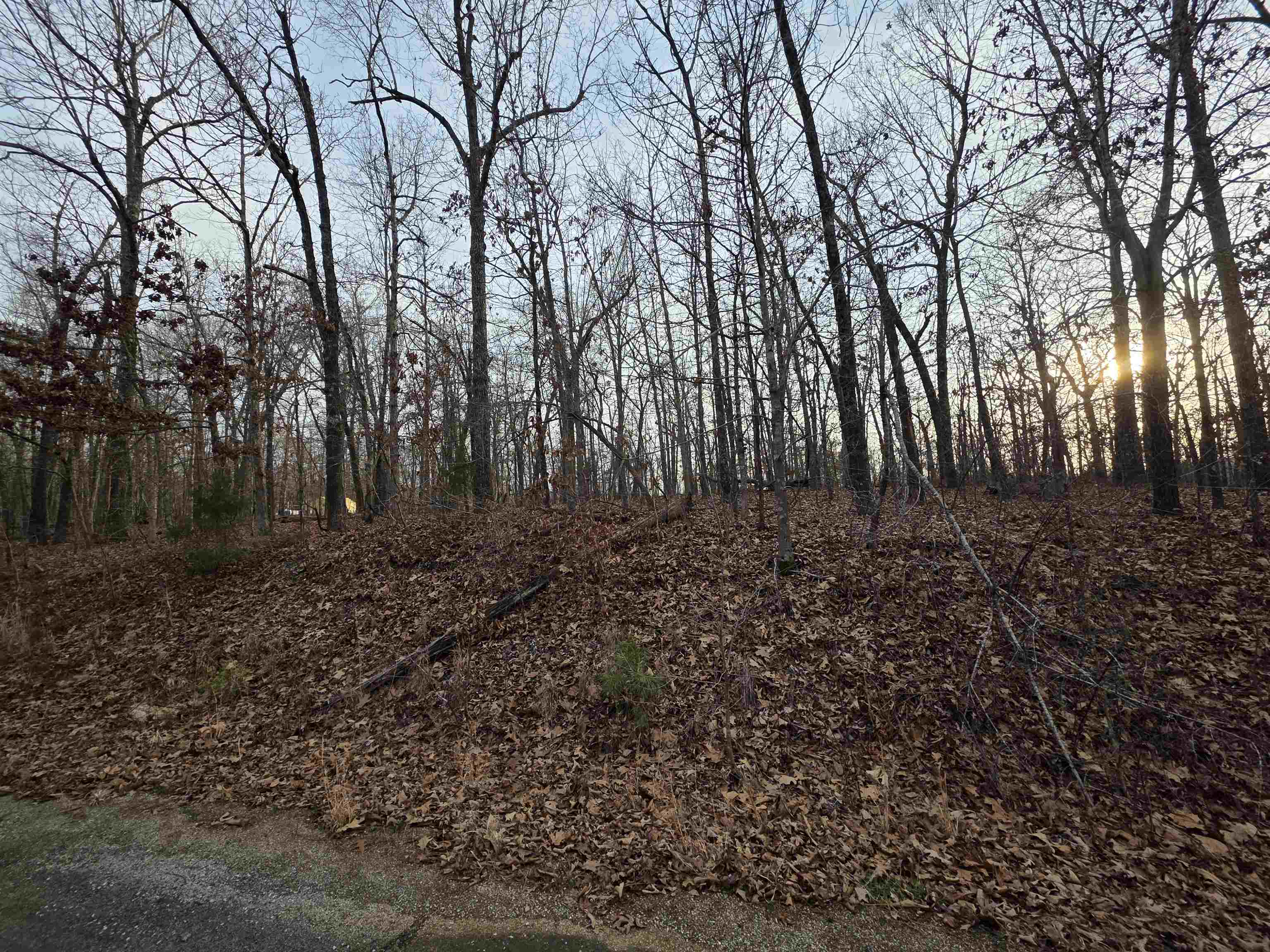 Photo 25 - Vacant Land for sale – 7 Lots  Cherokee Village   Cherokee Village, AR