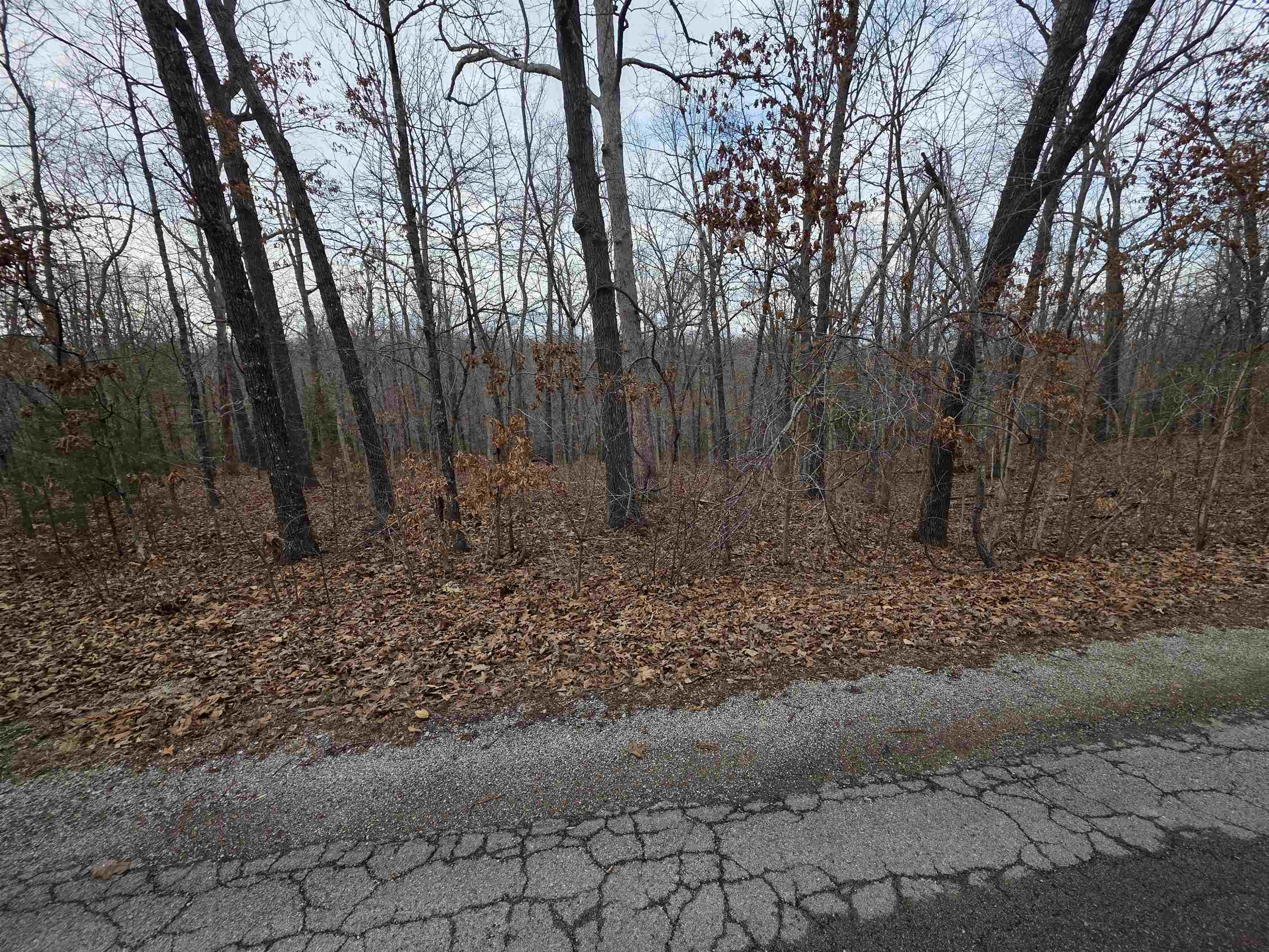 Photo 29 - Vacant Land for sale – 7 Lots  Cherokee Village   Cherokee Village, AR