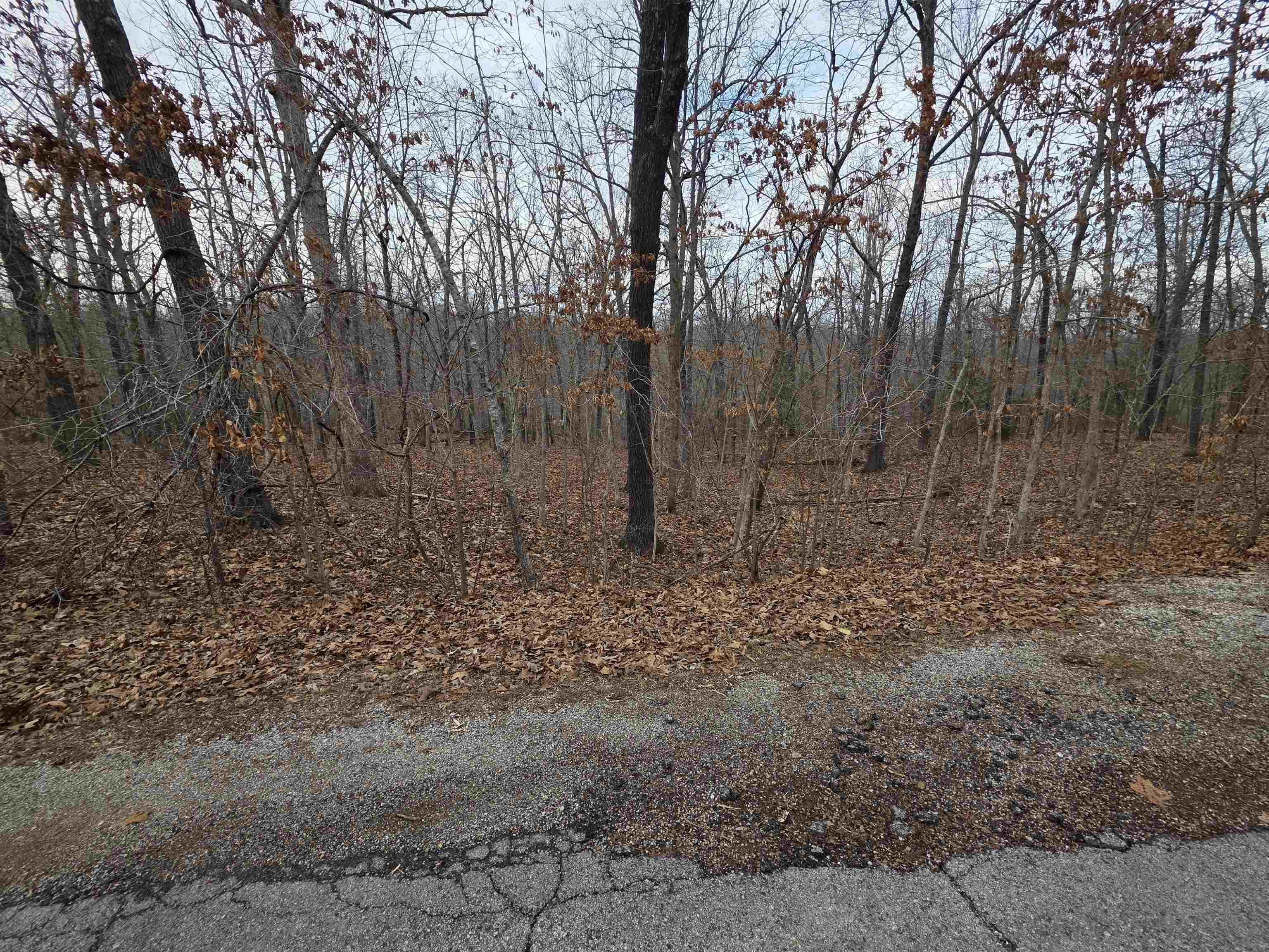 Photo 30 - Vacant Land for sale – 7 Lots  Cherokee Village   Cherokee Village, AR