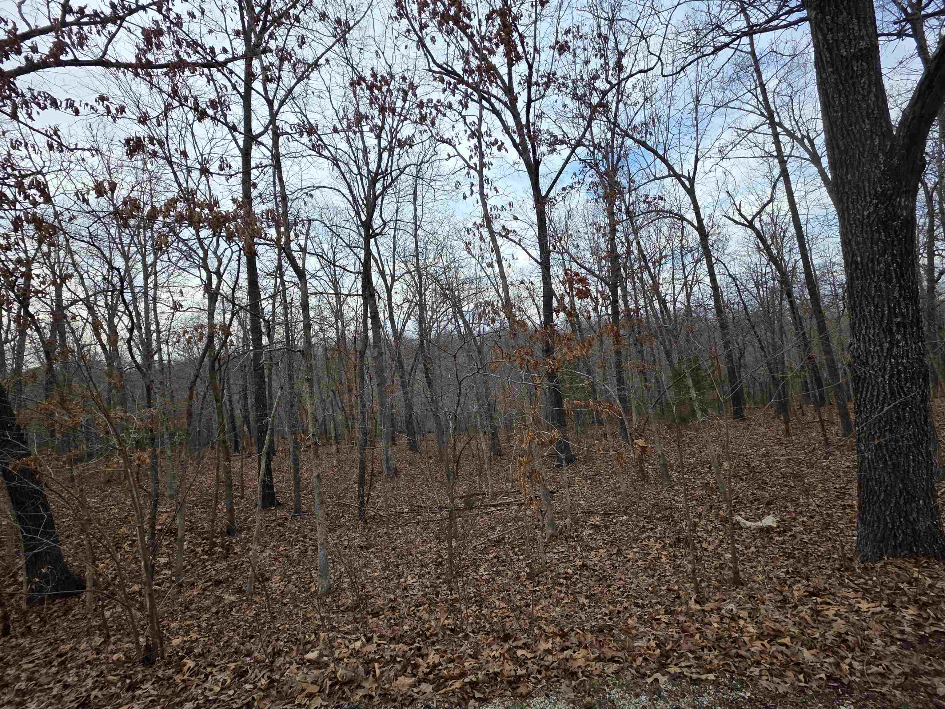 Photo 32 - Vacant Land for sale – 7 Lots  Cherokee Village   Cherokee Village, AR
