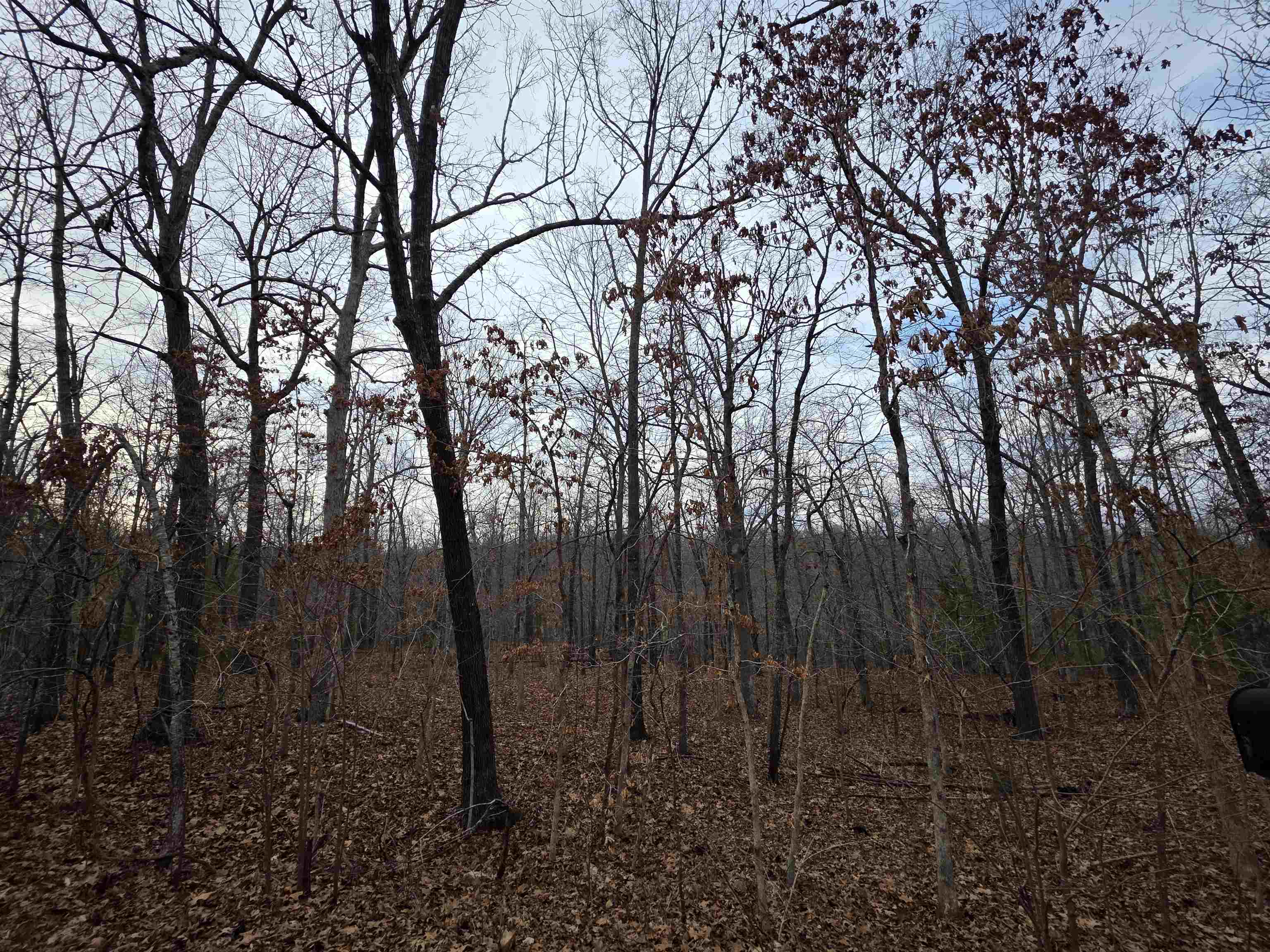 Photo 33 - Vacant Land for sale – 7 Lots  Cherokee Village   Cherokee Village, AR