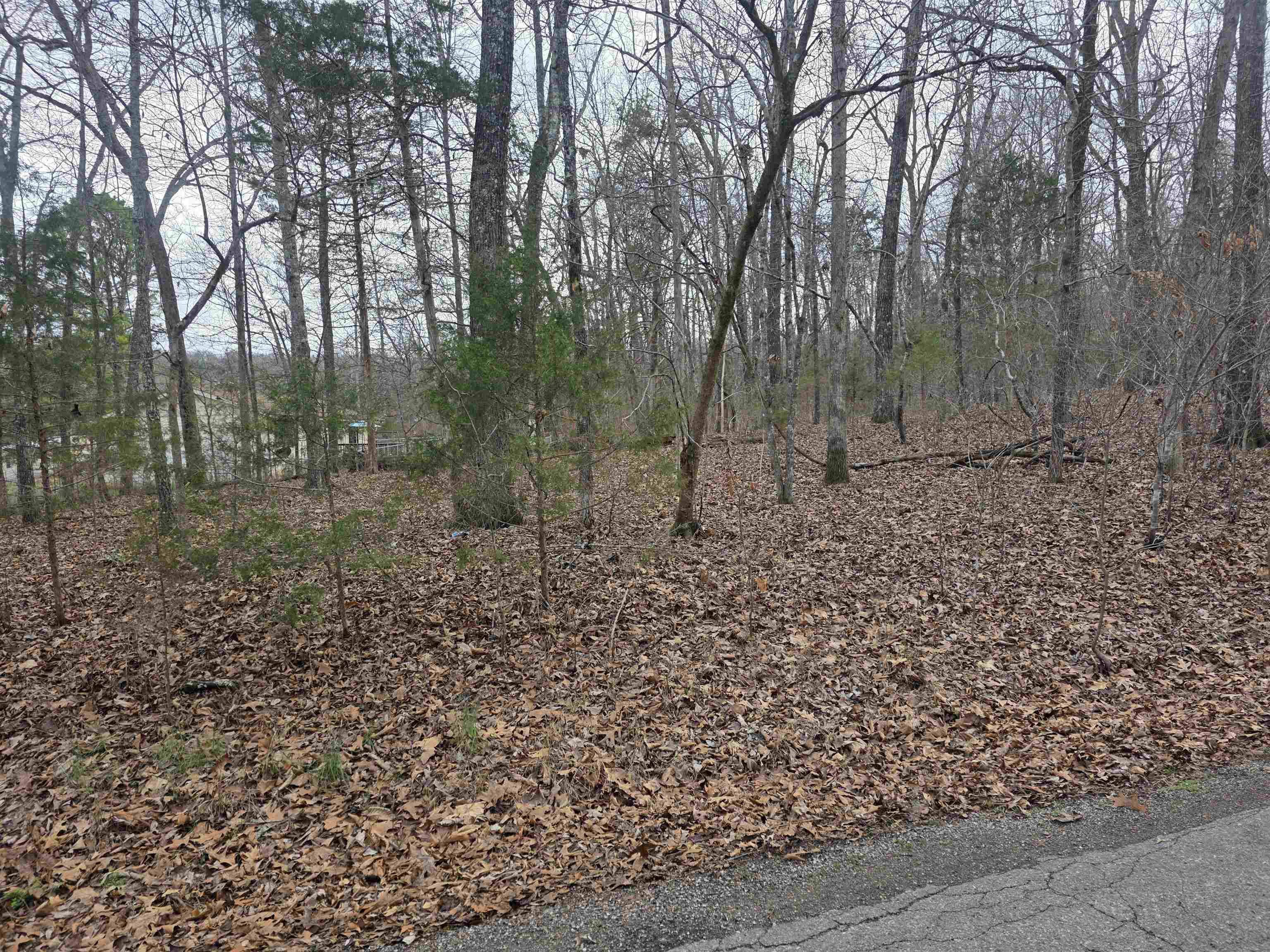 Photo 35 - Vacant Land for sale – 7 Lots  Cherokee Village   Cherokee Village, AR