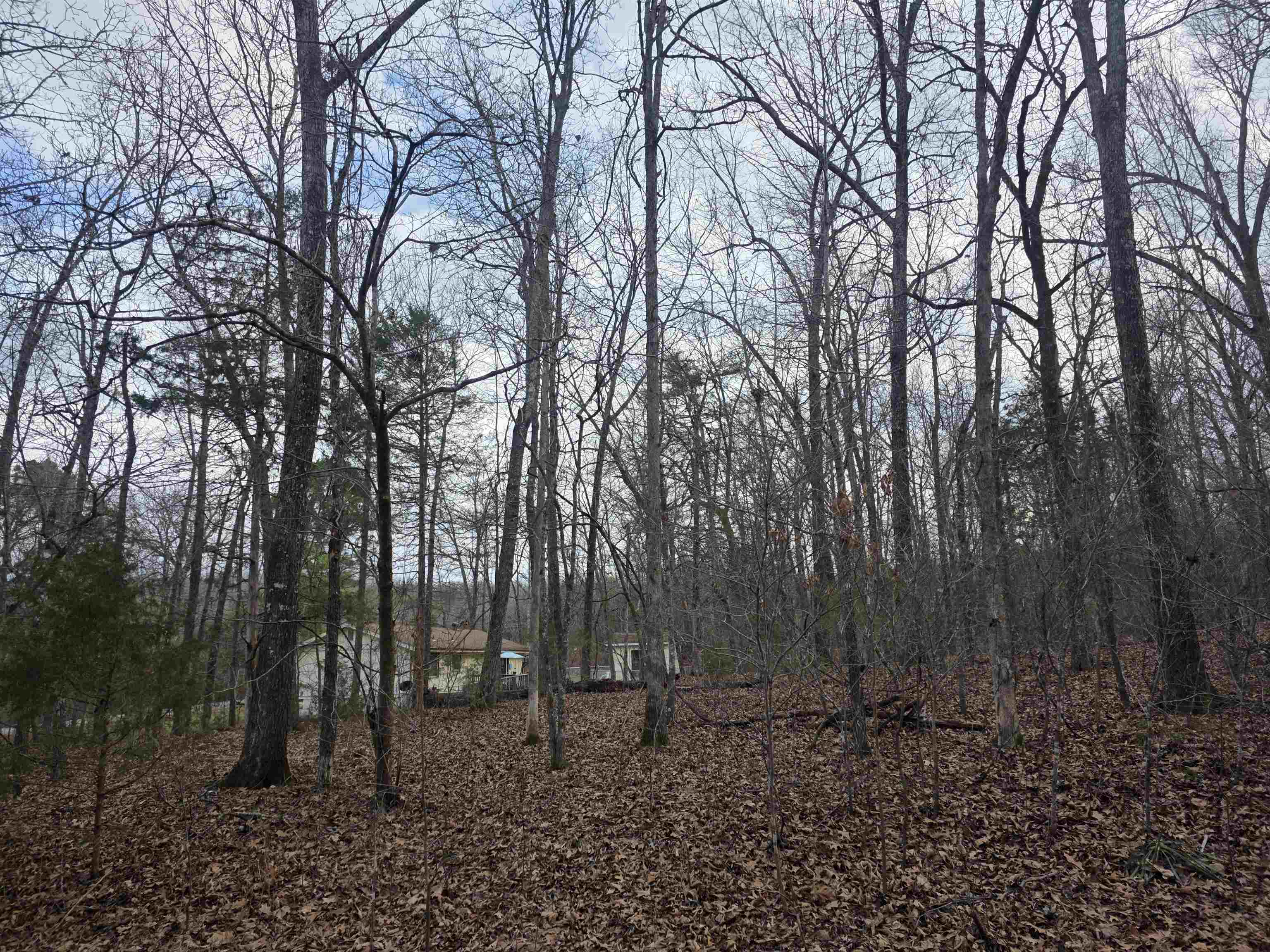 Photo 37 - Vacant Land for sale – 7 Lots  Cherokee Village   Cherokee Village, AR