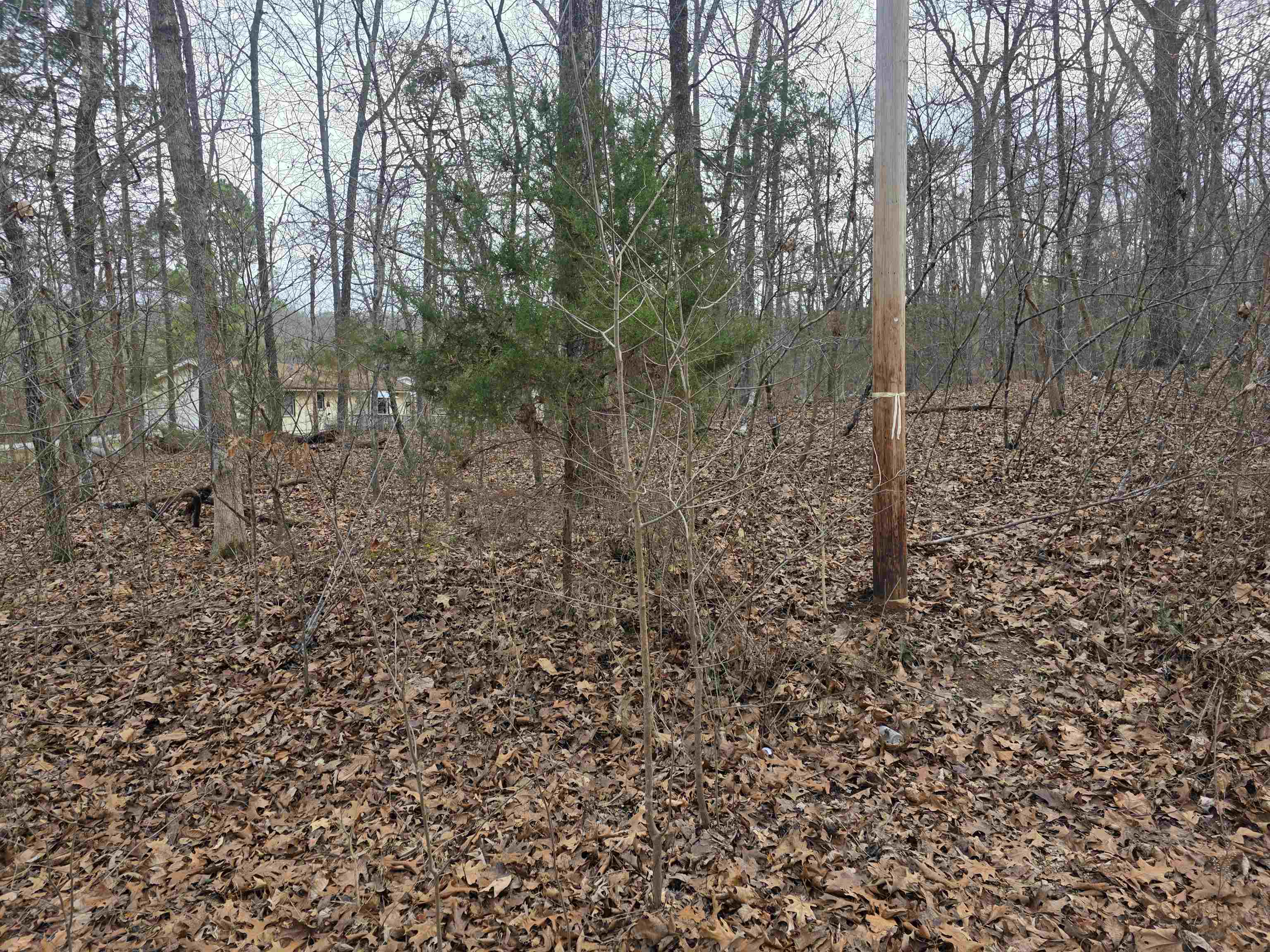 Photo 38 - Vacant Land for sale – 7 Lots  Cherokee Village   Cherokee Village, AR