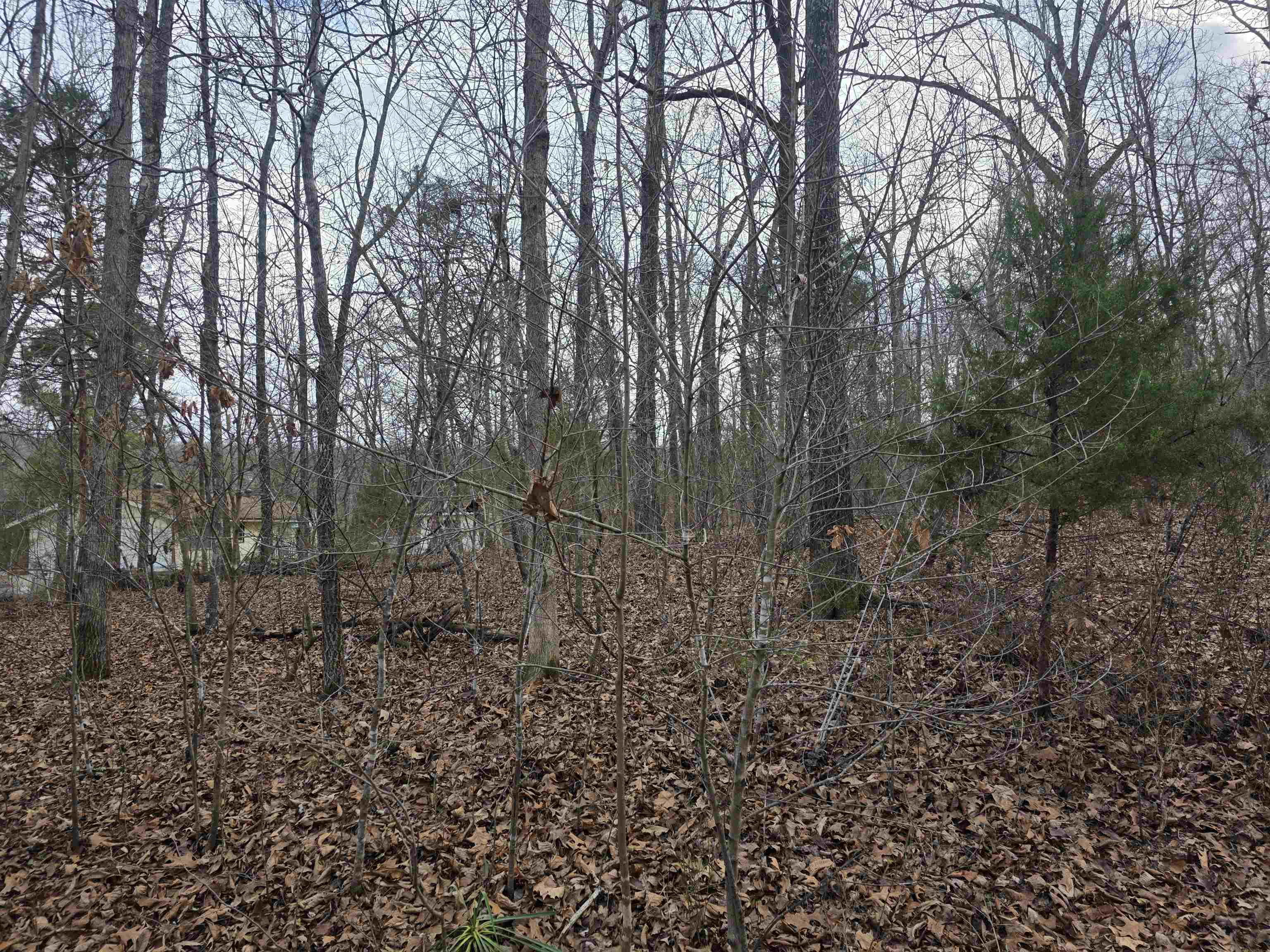 Photo 39 - Vacant Land for sale – 7 Lots  Cherokee Village   Cherokee Village, AR