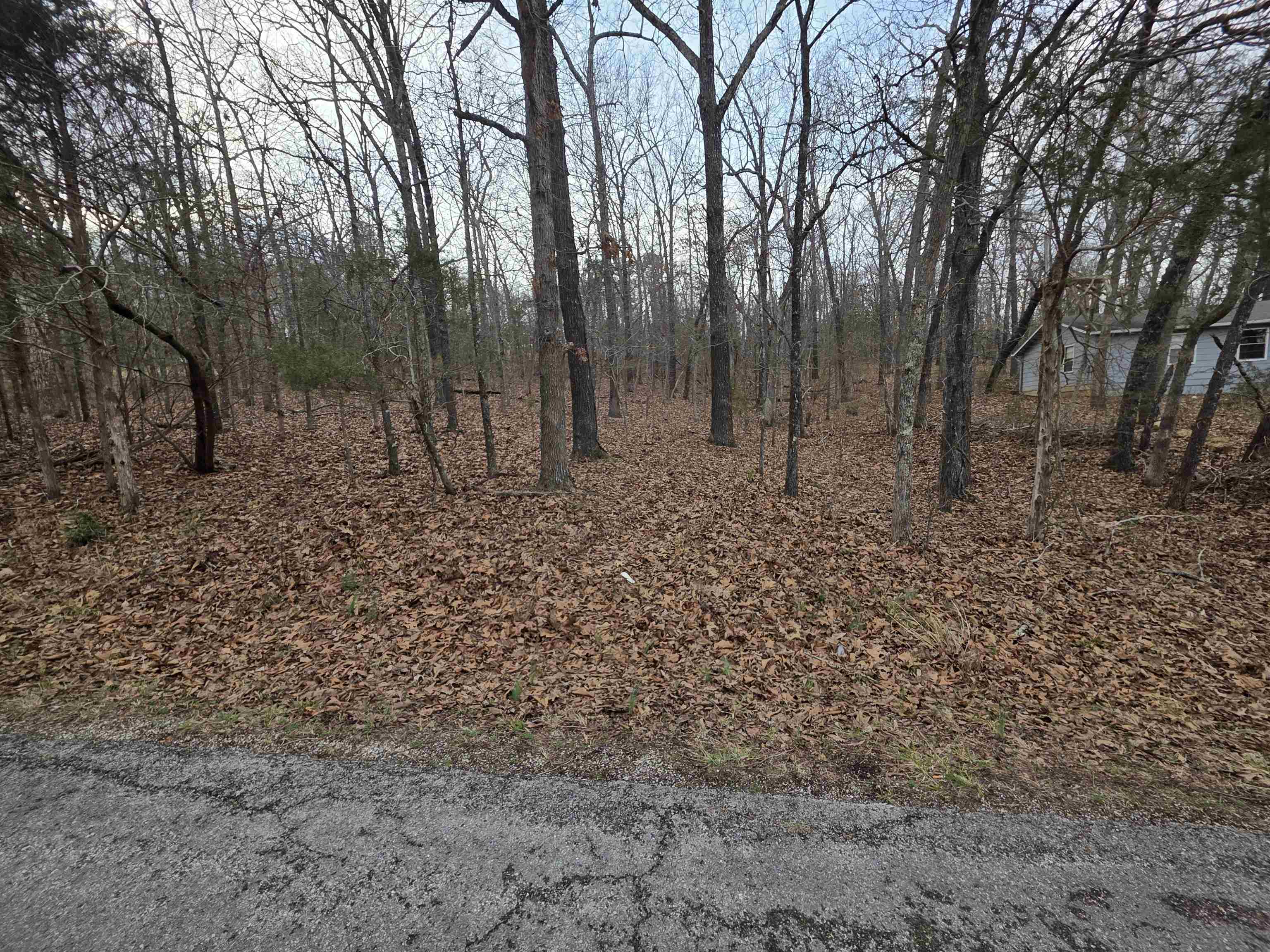 Photo 40 - Vacant Land for sale – 7 Lots  Cherokee Village   Cherokee Village, AR