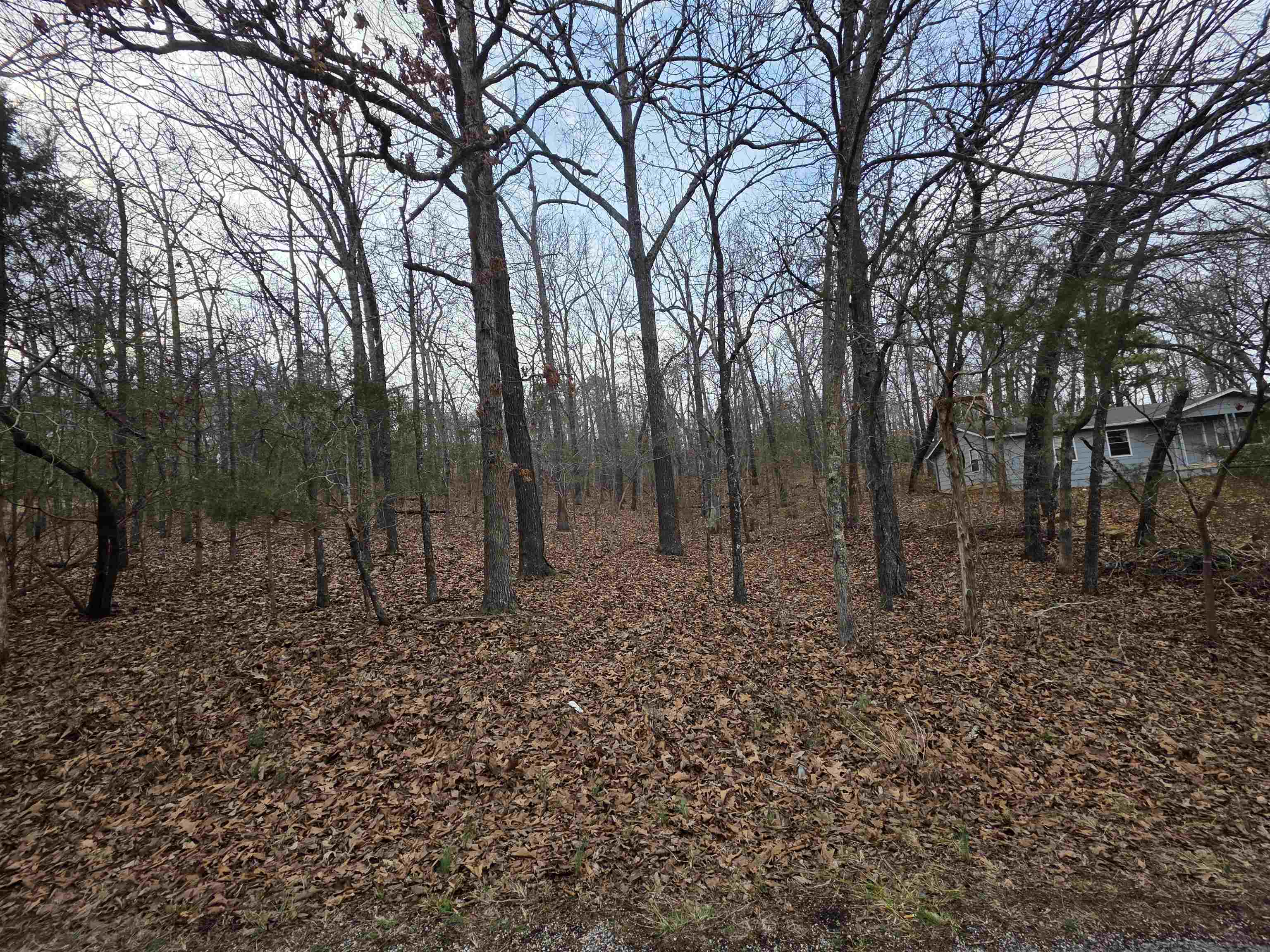 Photo 41 - Vacant Land for sale – 7 Lots  Cherokee Village   Cherokee Village, AR