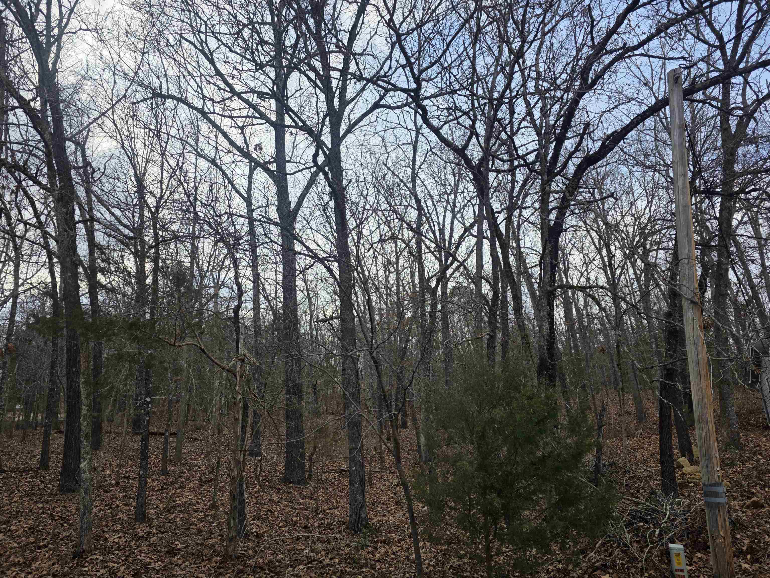 Photo 44 - Vacant Land for sale – 7 Lots  Cherokee Village   Cherokee Village, AR