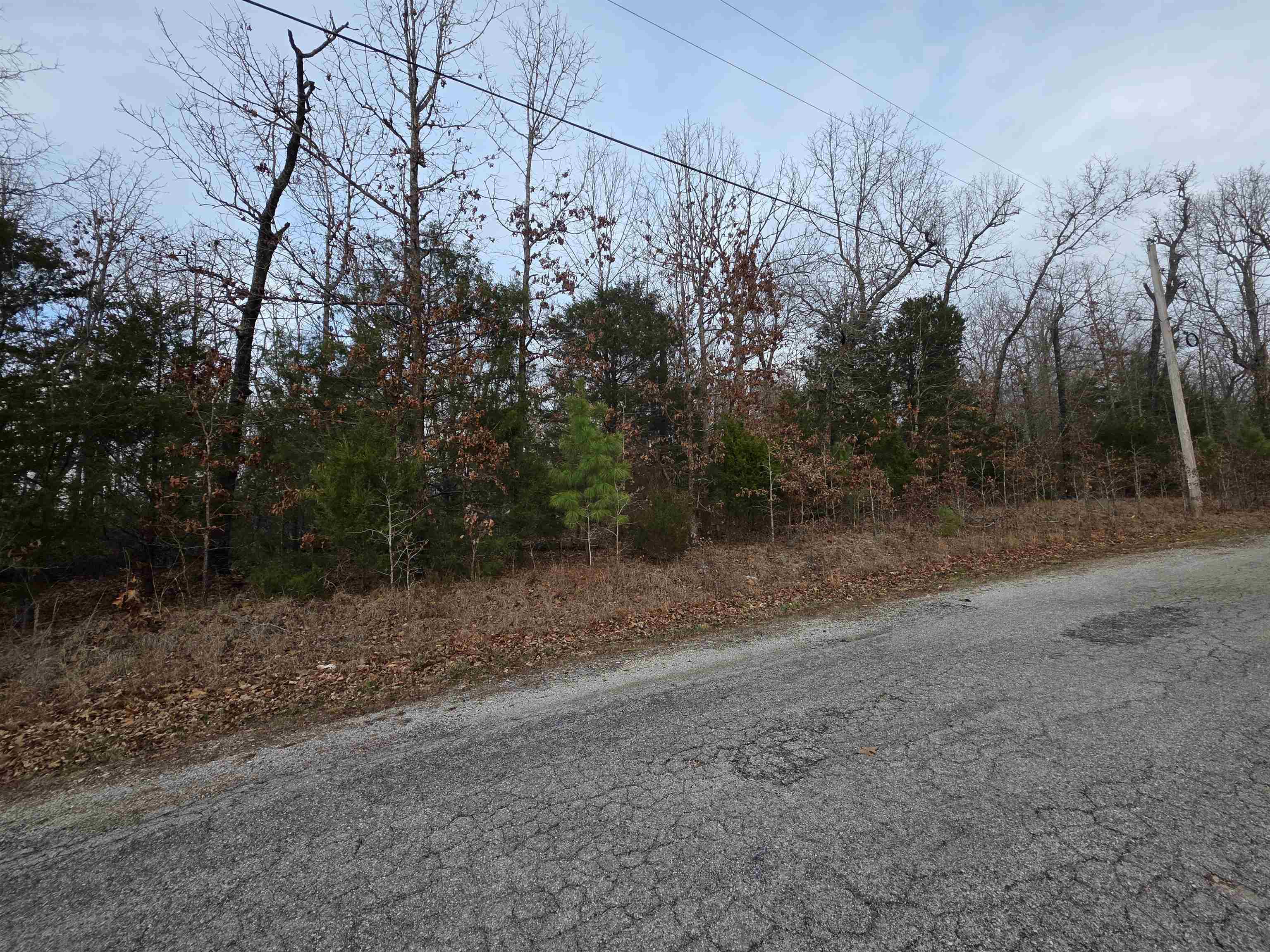 Photo 7 - Vacant Land for sale – 7 Lots  Cherokee Village   Cherokee Village, AR