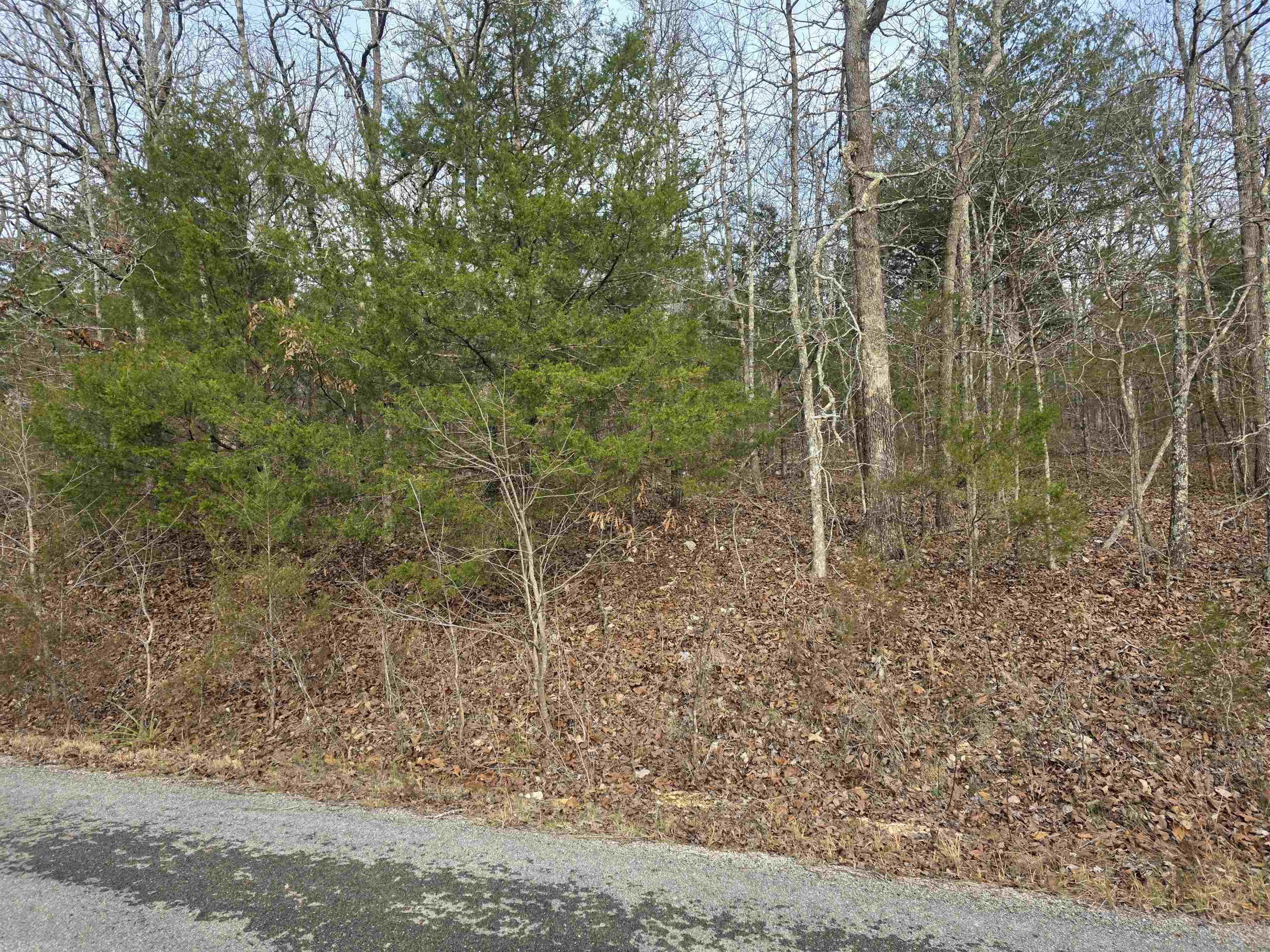 Photo 10 - Vacant Land for sale – 7 Lots  Cherokee Village   Cherokee Village, AR