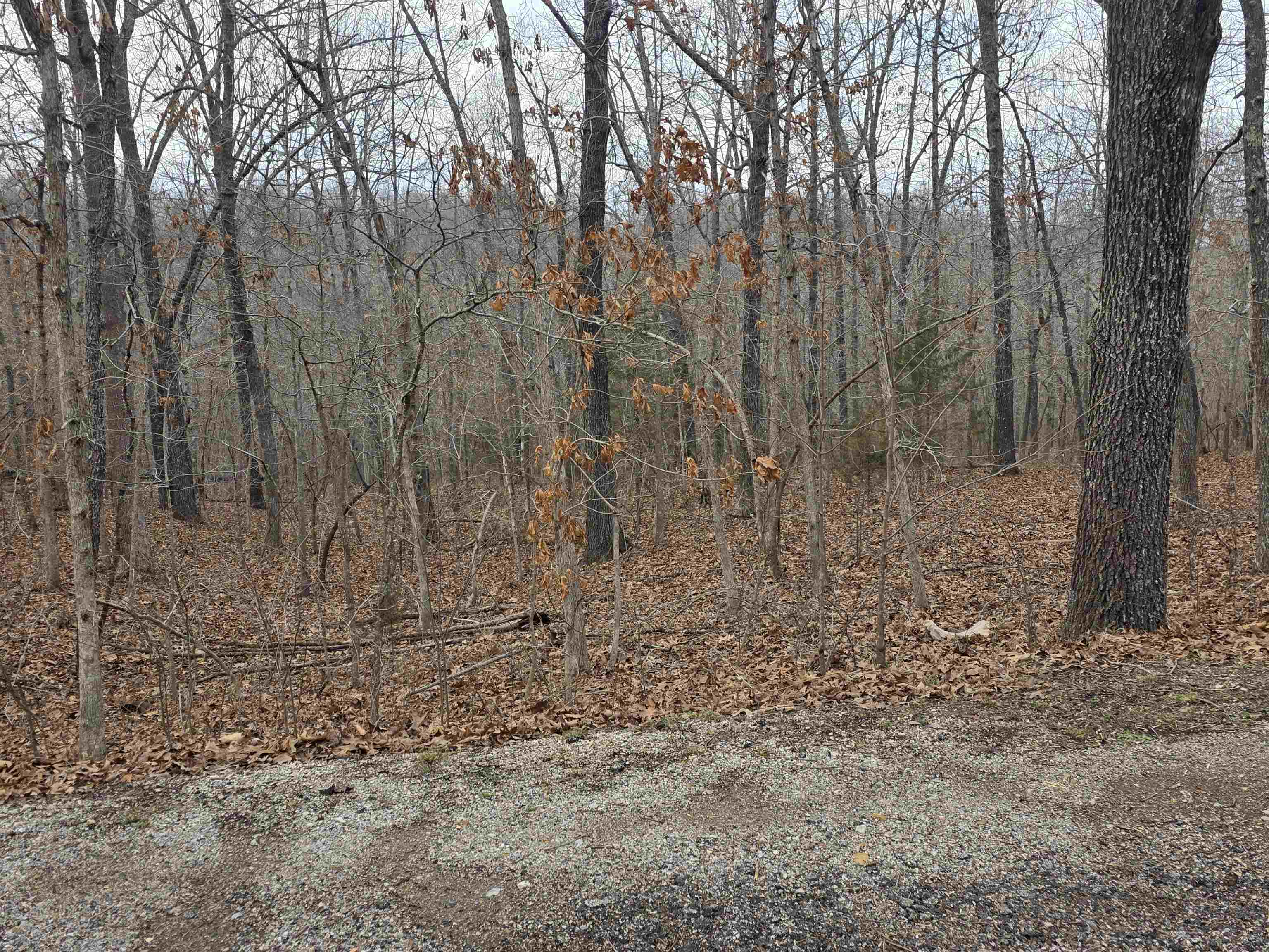 Photo 11 - Vacant Land for sale – L26 B2  Saskatchewan   Cherokee Village, AR