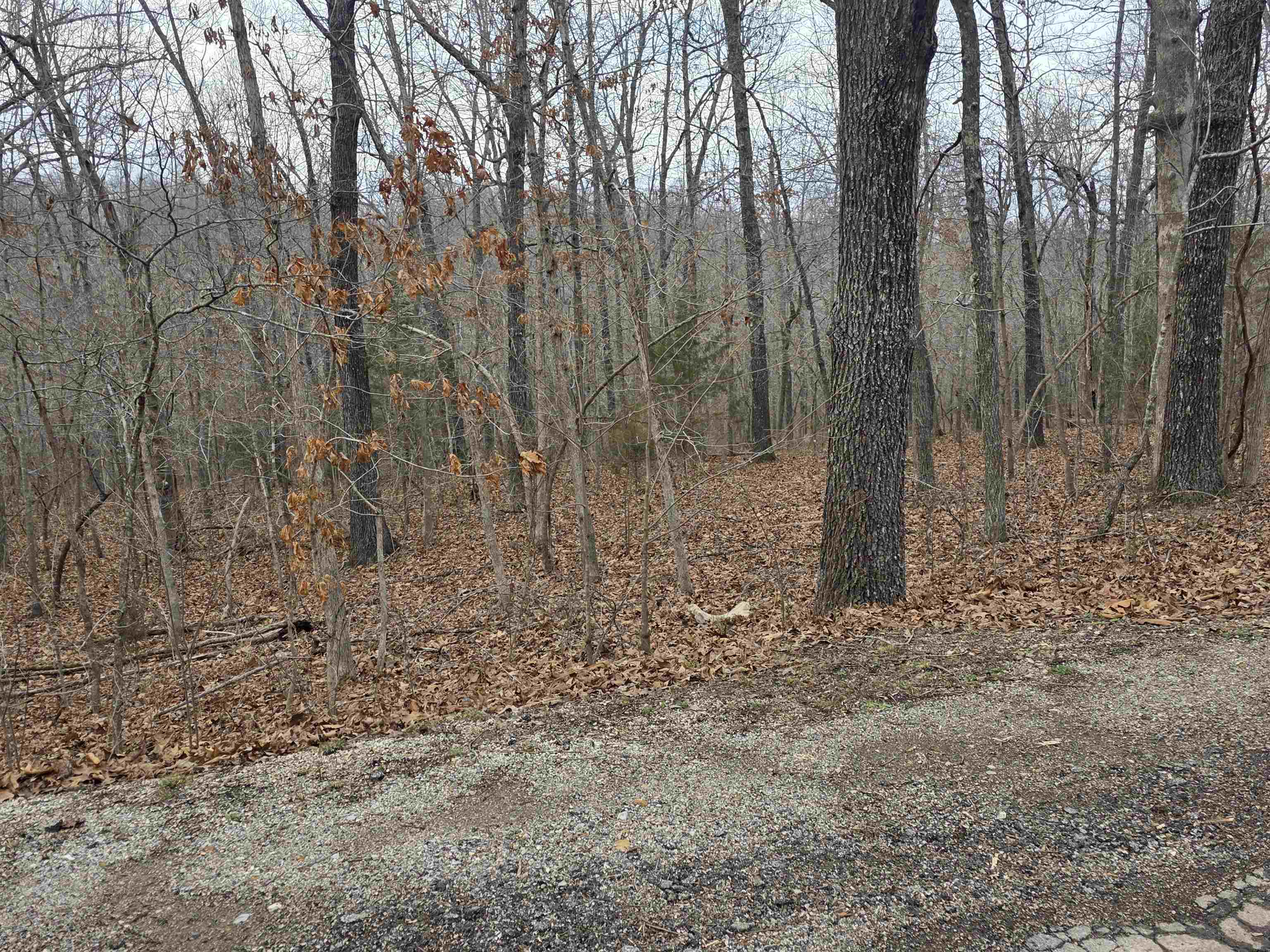 Photo 12 - Vacant Land for sale – L26 B2  Saskatchewan   Cherokee Village, AR