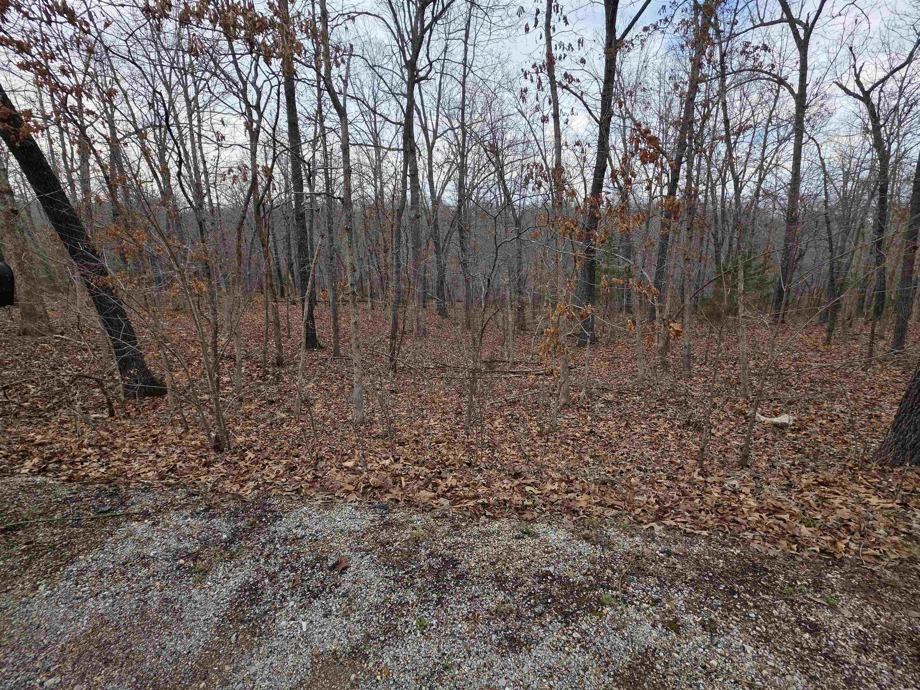 Photo 13 - Vacant Land for sale – L26 B2  Saskatchewan   Cherokee Village, AR