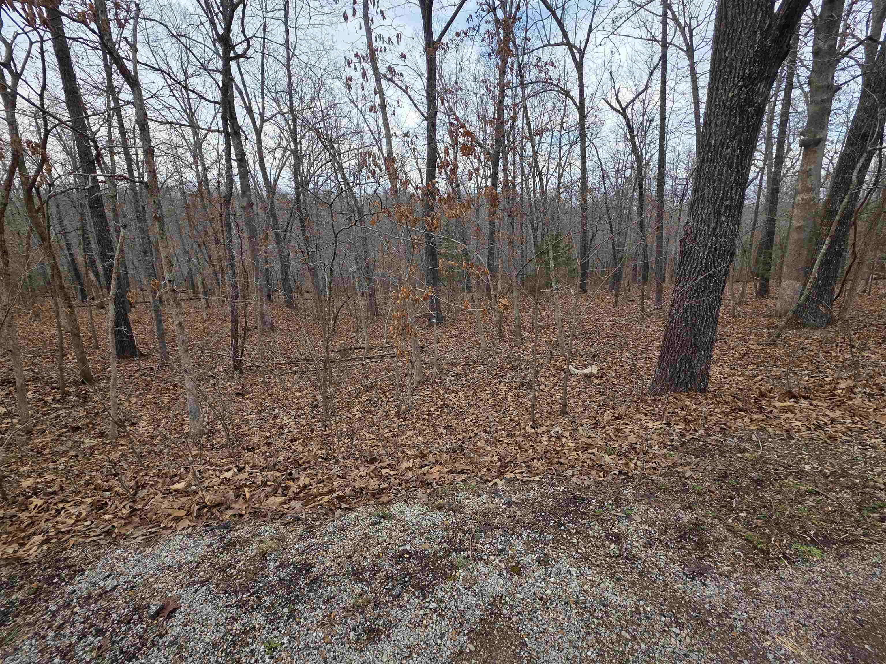 Photo 14 - Vacant Land for sale – L26 B2  Saskatchewan   Cherokee Village, AR