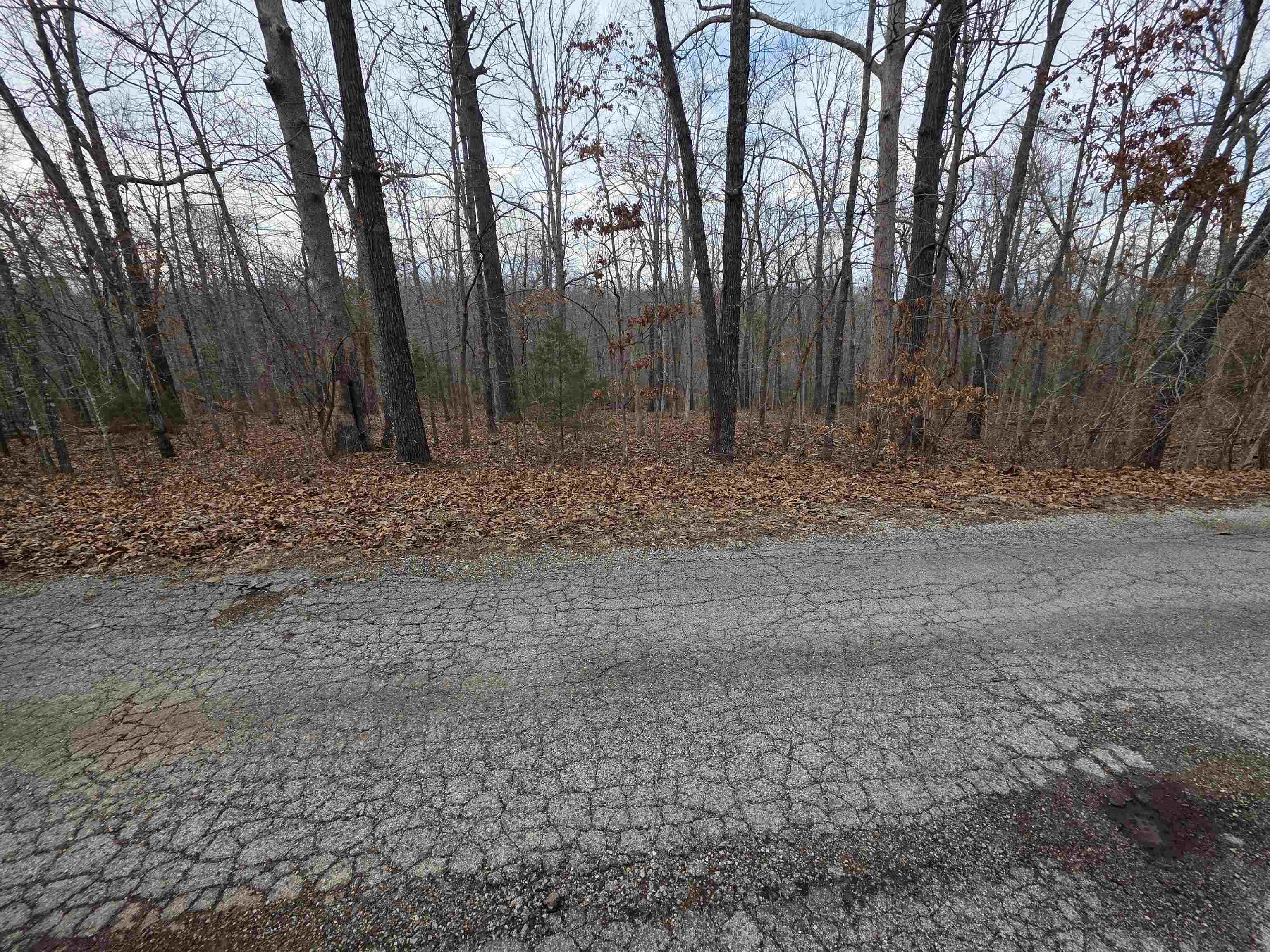 Photo 3 - Vacant Land for sale – L26 B2  Saskatchewan   Cherokee Village, AR