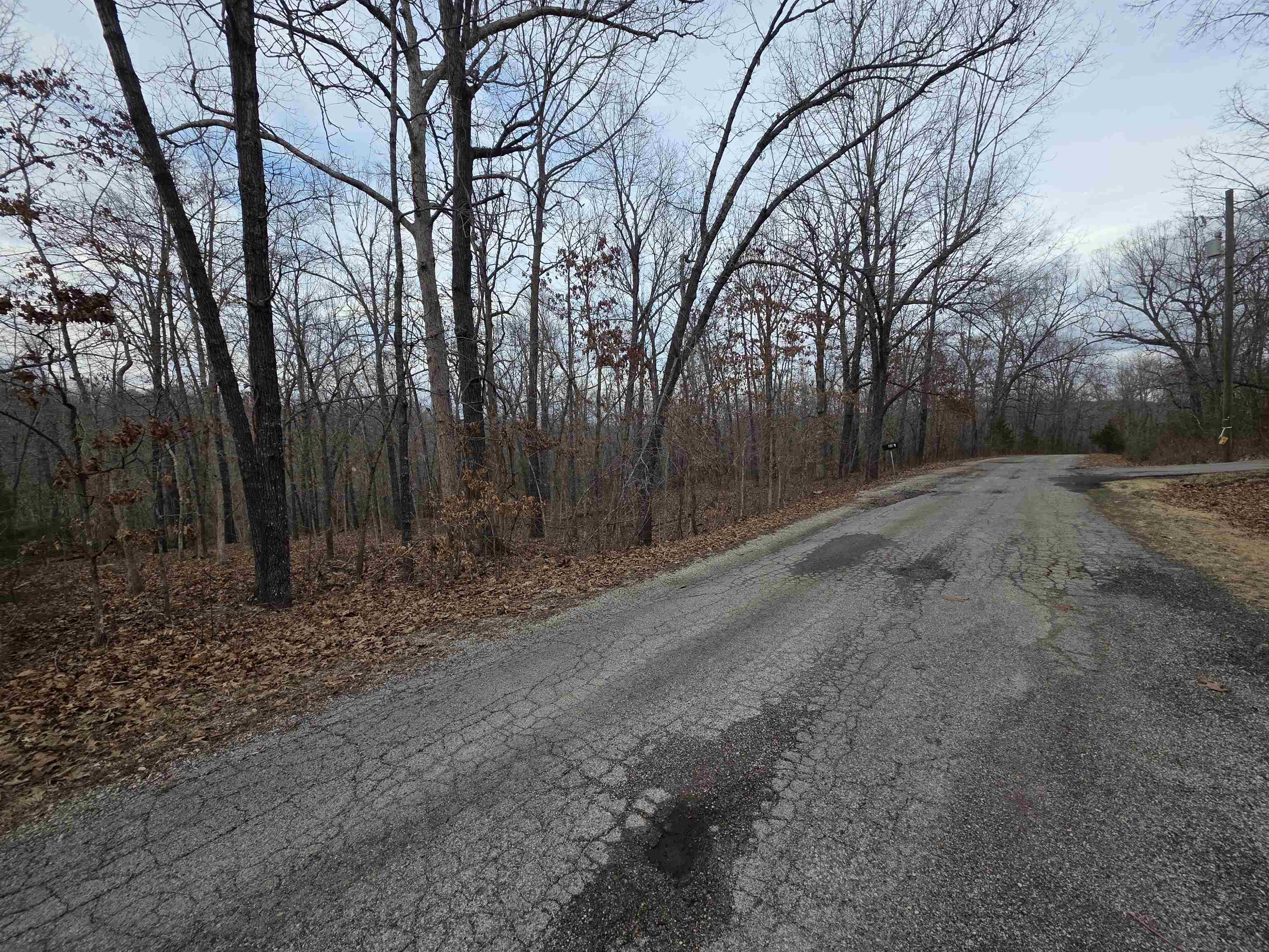 Photo 4 - Vacant Land for sale – L26 B2  Saskatchewan   Cherokee Village, AR