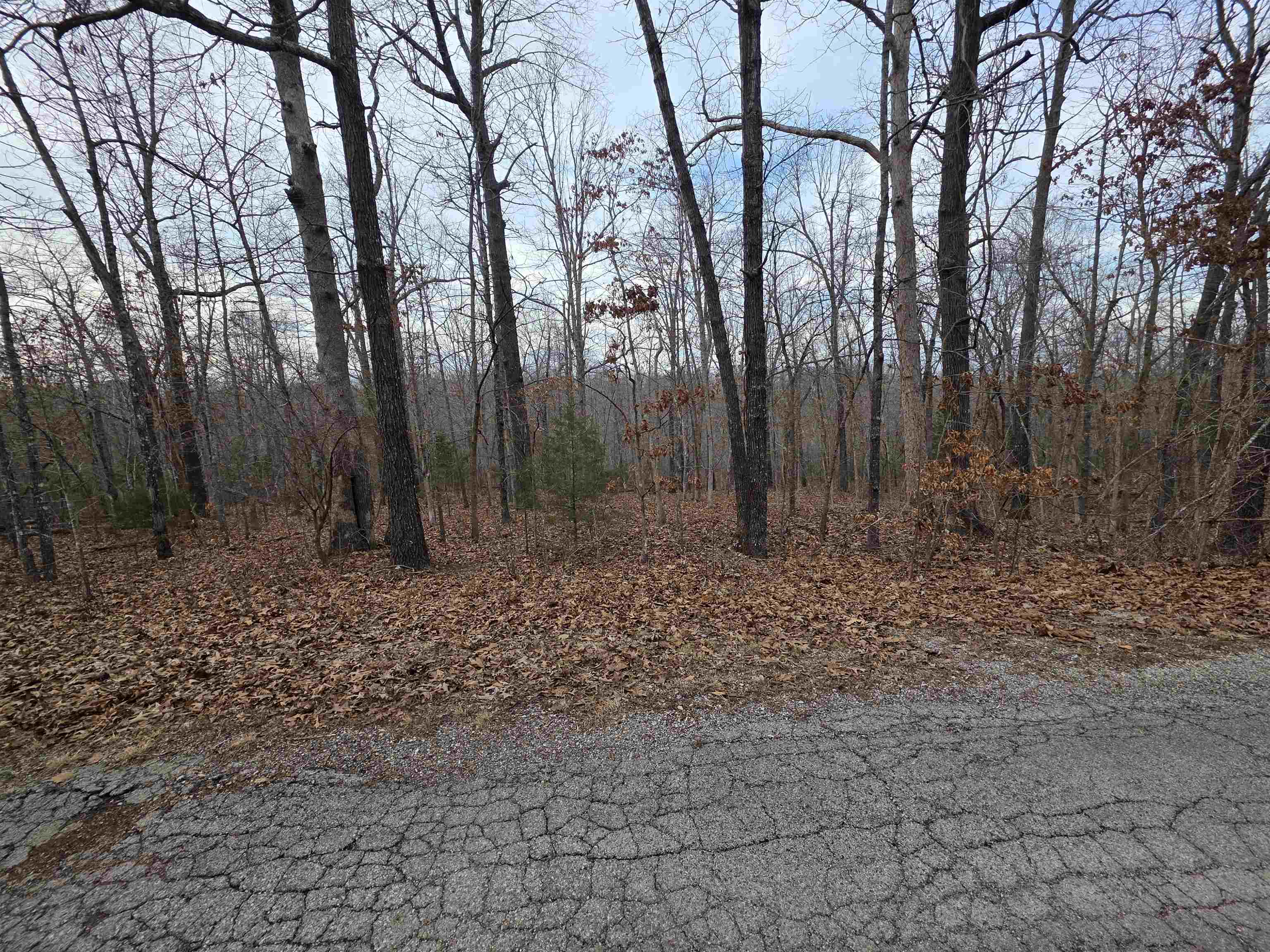 Photo 6 - Vacant Land for sale – L26 B2  Saskatchewan   Cherokee Village, AR