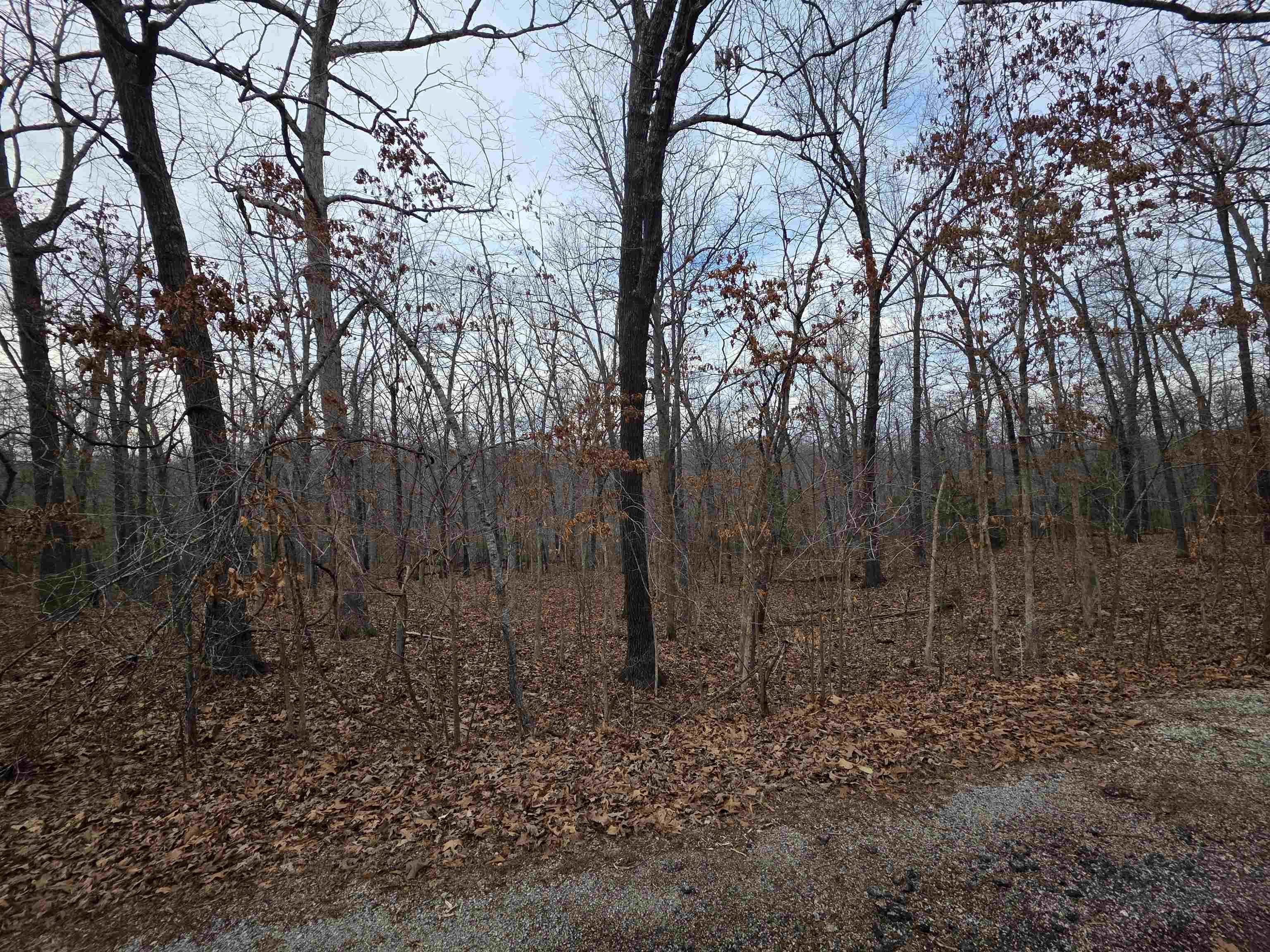 Photo 8 - Vacant Land for sale – L26 B2  Saskatchewan   Cherokee Village, AR