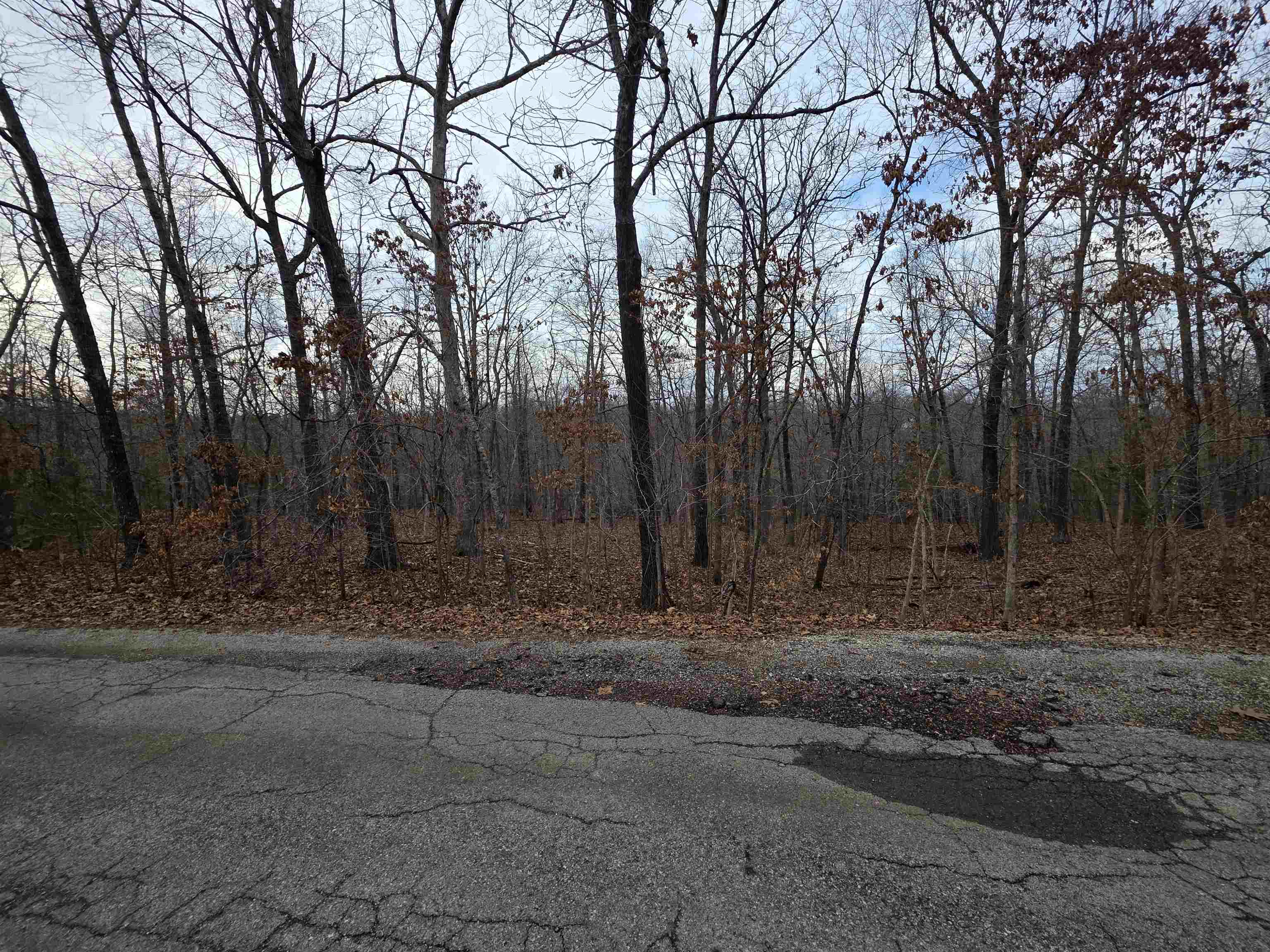 Photo 9 - Vacant Land for sale – L26 B2  Saskatchewan   Cherokee Village, AR