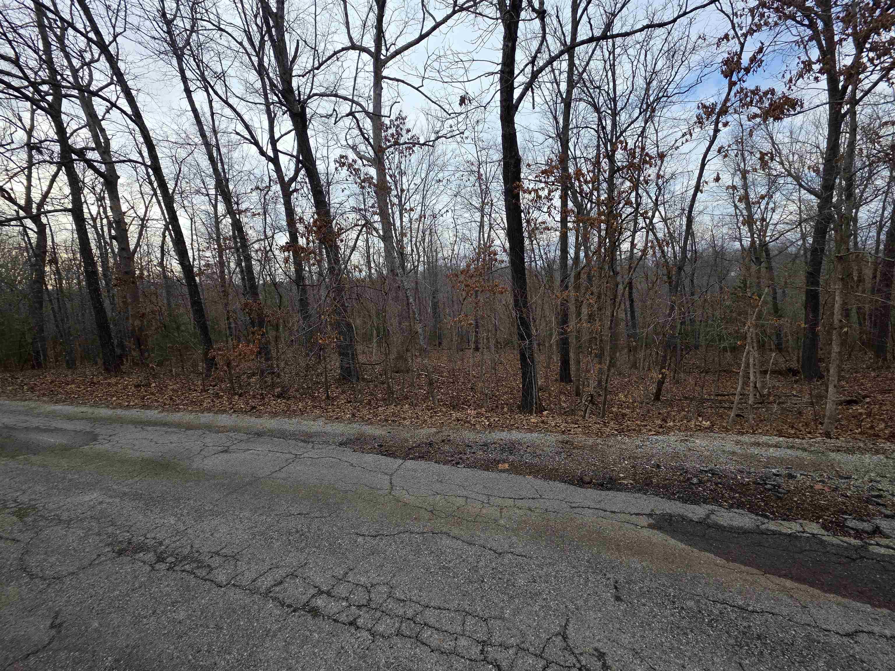 Photo 10 - Vacant Land for sale – L26 B2  Saskatchewan   Cherokee Village, AR