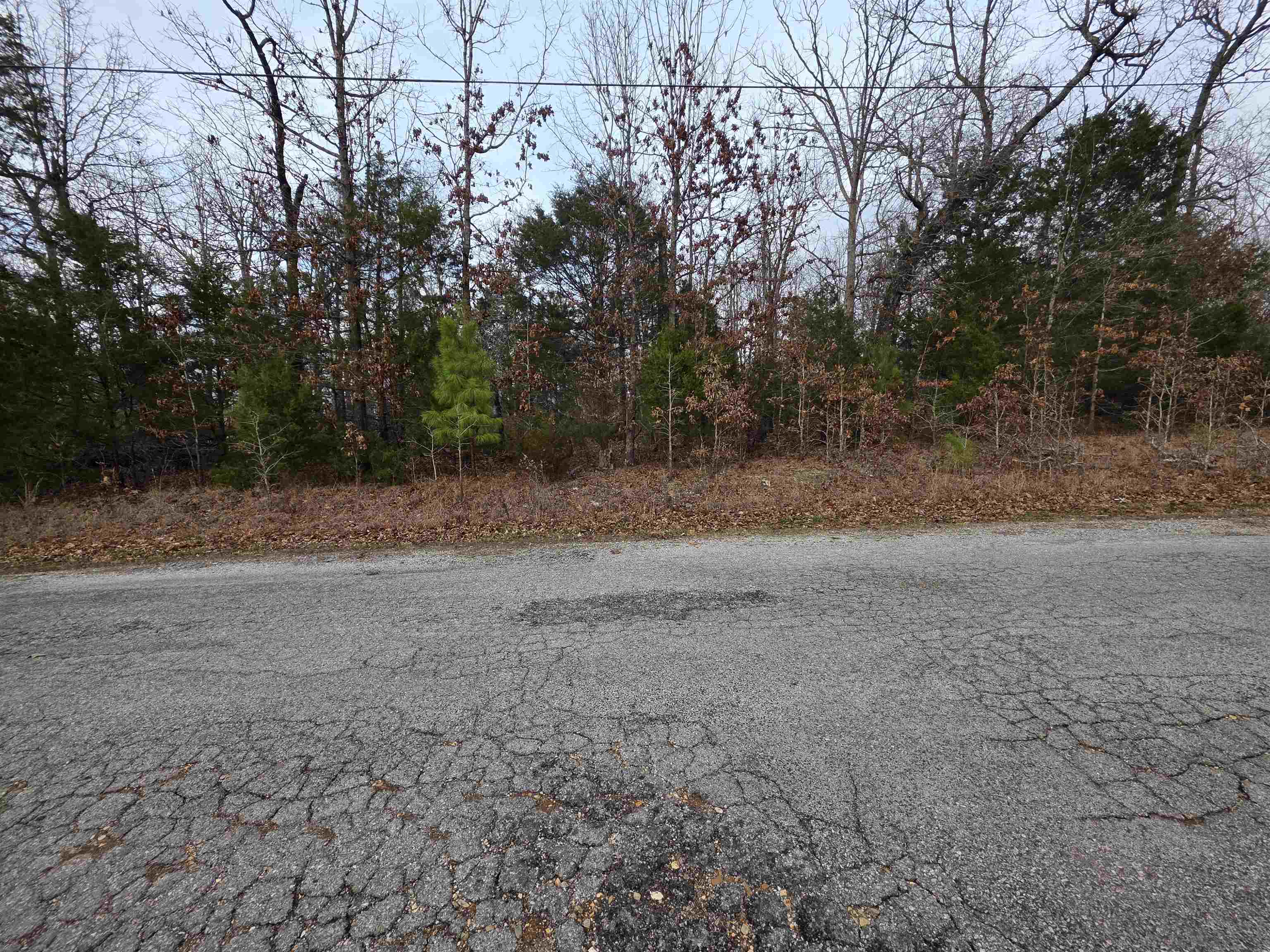 Photo 11 - Vacant Land for sale – L28 B1  Arkinda   Cherokee Village, AR
