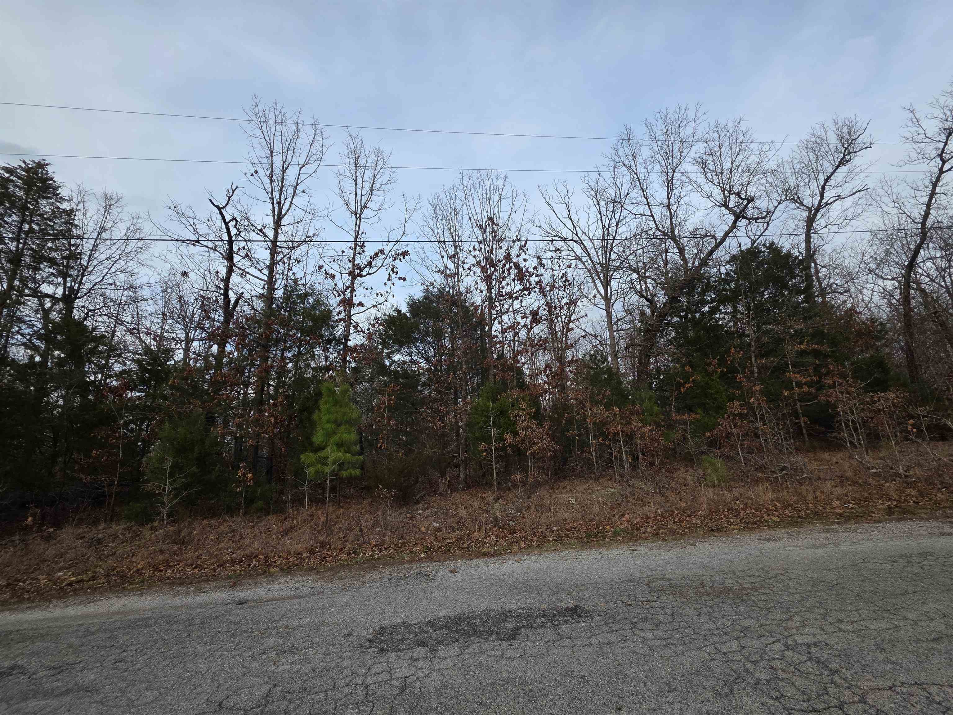 Photo 12 - Vacant Land for sale – L28 B1  Arkinda   Cherokee Village, AR