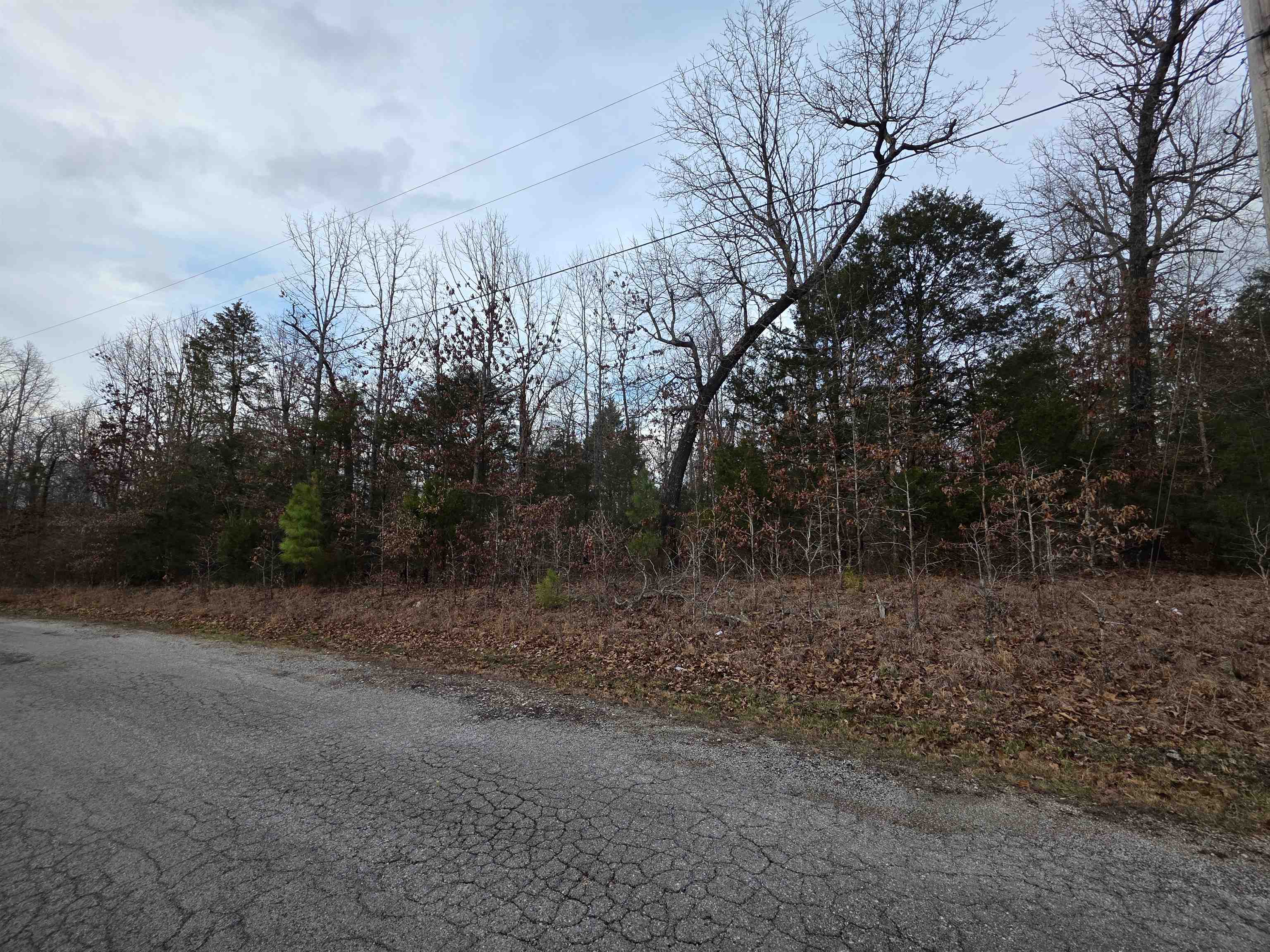 Photo 3 - Vacant Land for sale – L28 B1  Arkinda   Cherokee Village, AR