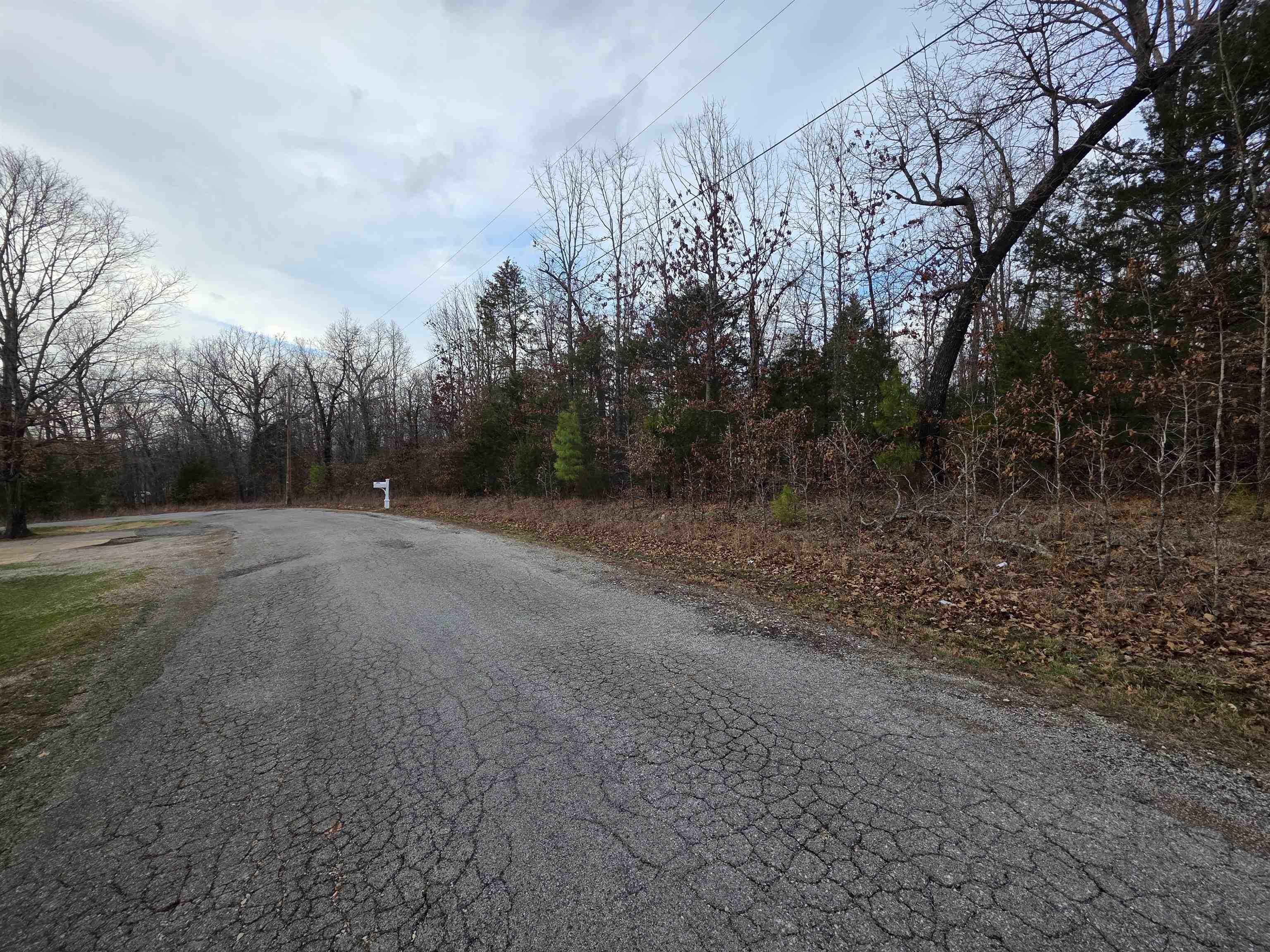 Photo 5 - Vacant Land for sale – L28 B1  Arkinda   Cherokee Village, AR