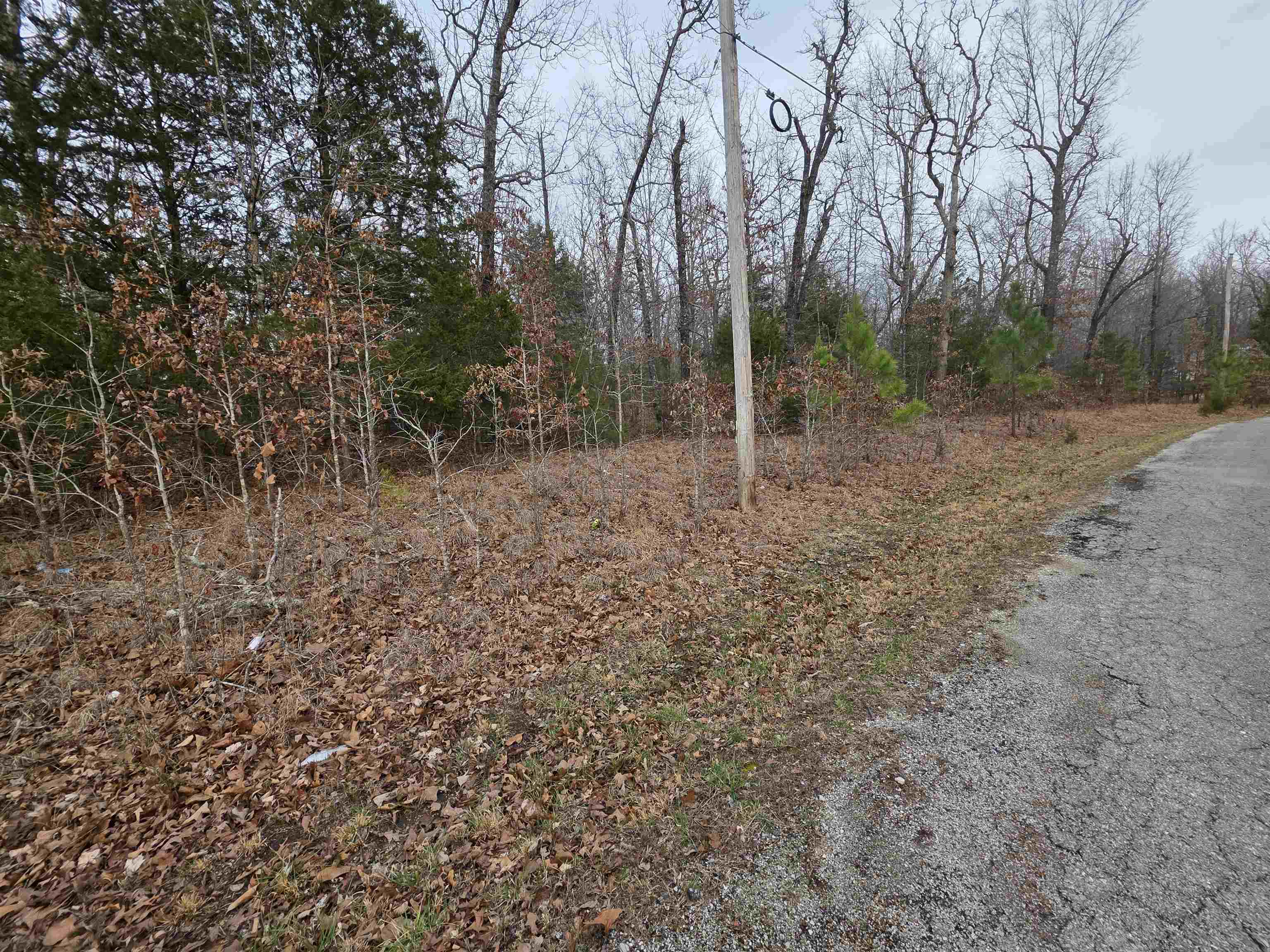 Photo 6 - Vacant Land for sale – L28 B1  Arkinda   Cherokee Village, AR