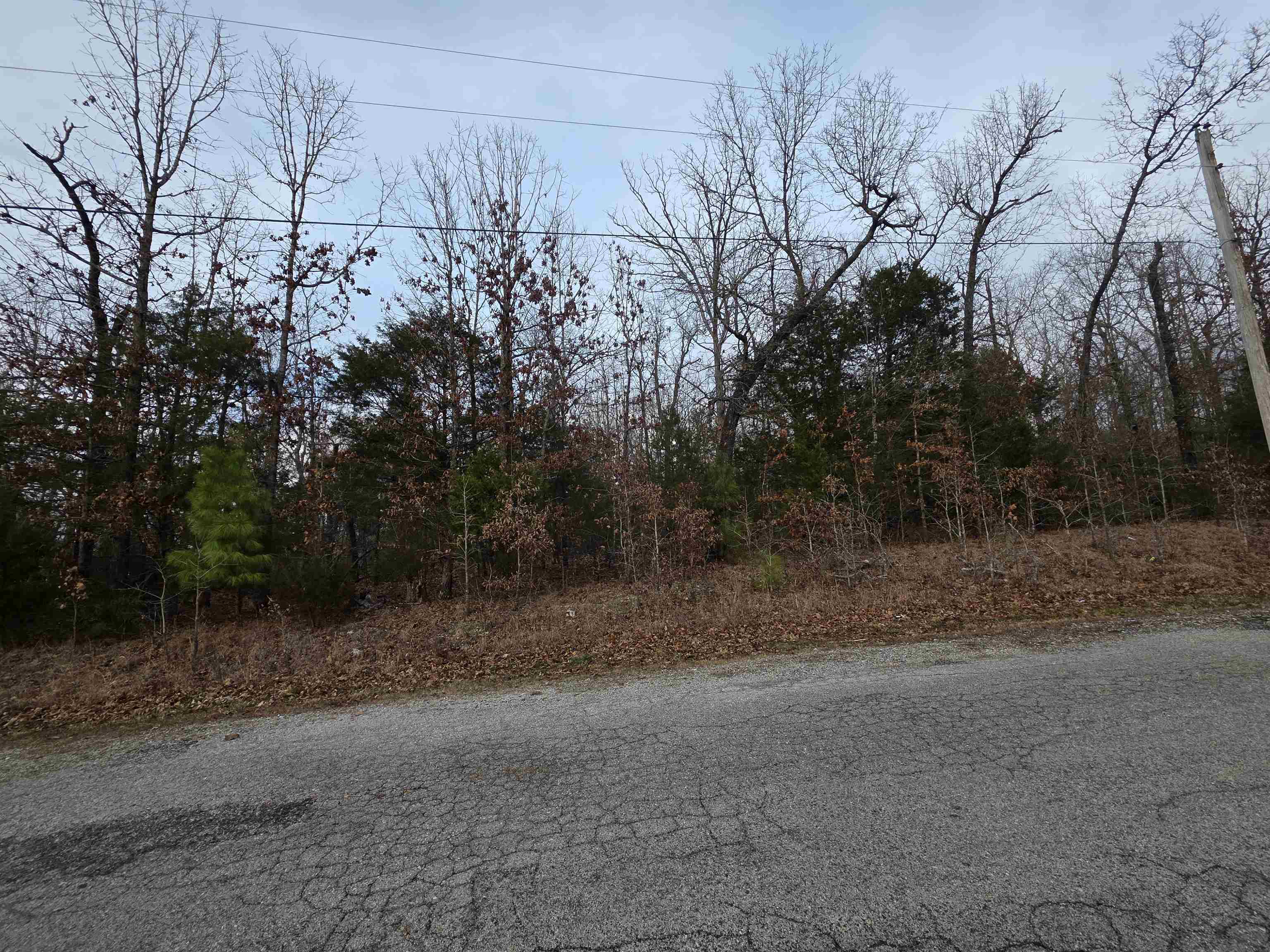 Photo 7 - Vacant Land for sale – L28 B1  Arkinda   Cherokee Village, AR