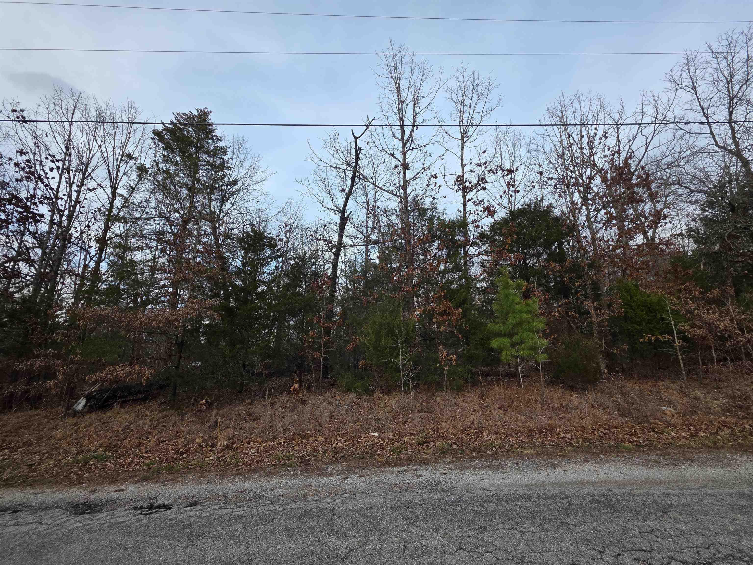 Photo 9 - Vacant Land for sale – L28 B1  Arkinda   Cherokee Village, AR