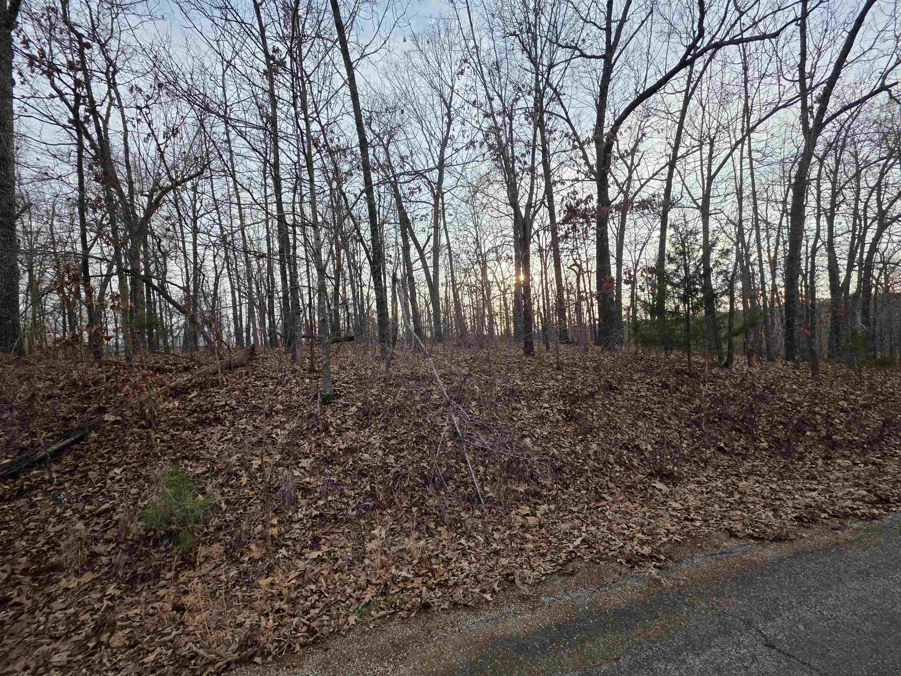 Photo 11 - Vacant Land for sale – L39 B1  Nakoma   Cherokee Village, AR