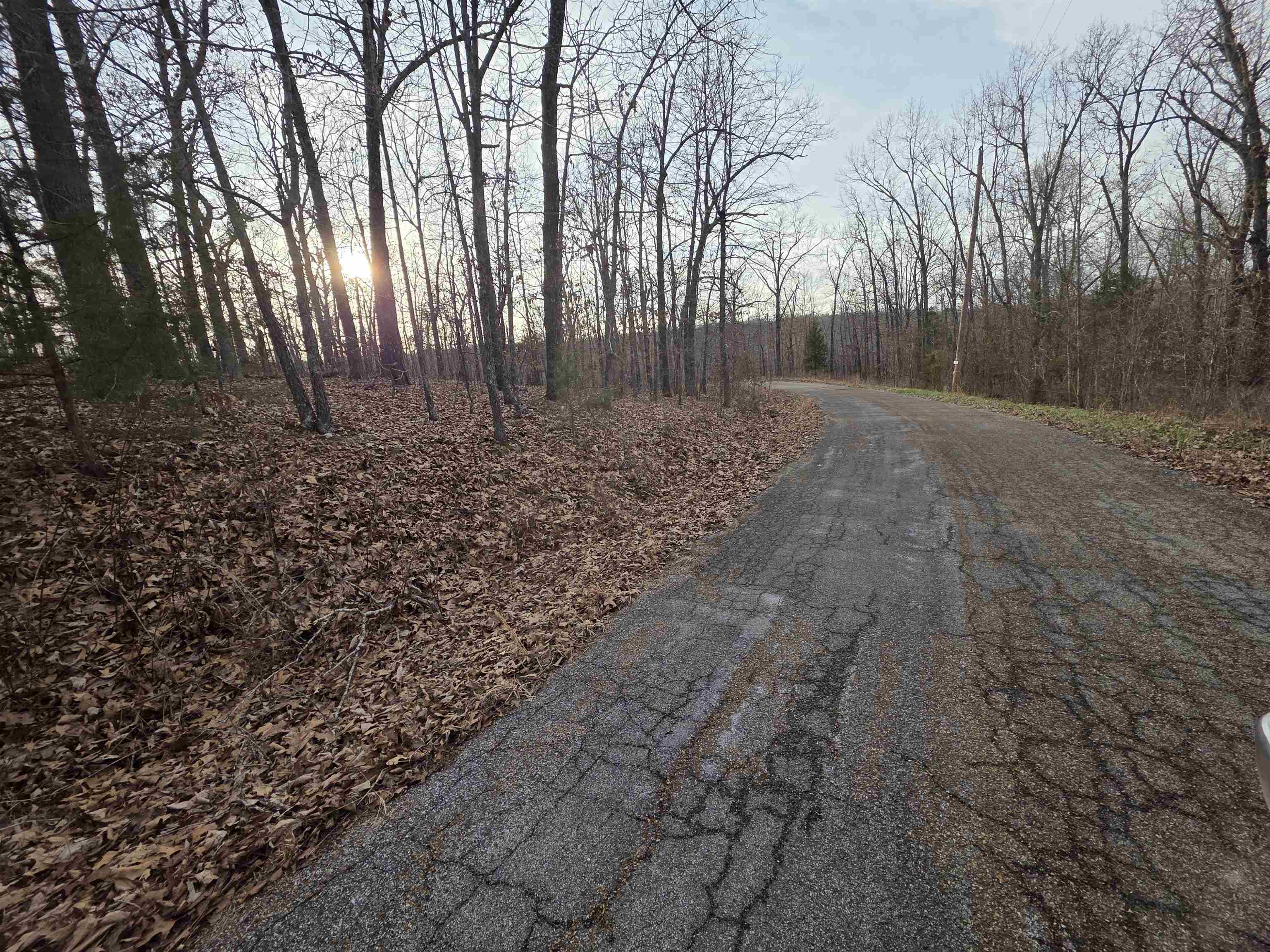 Photo 7 - Vacant Land for sale – L39 B1  Nakoma   Cherokee Village, AR