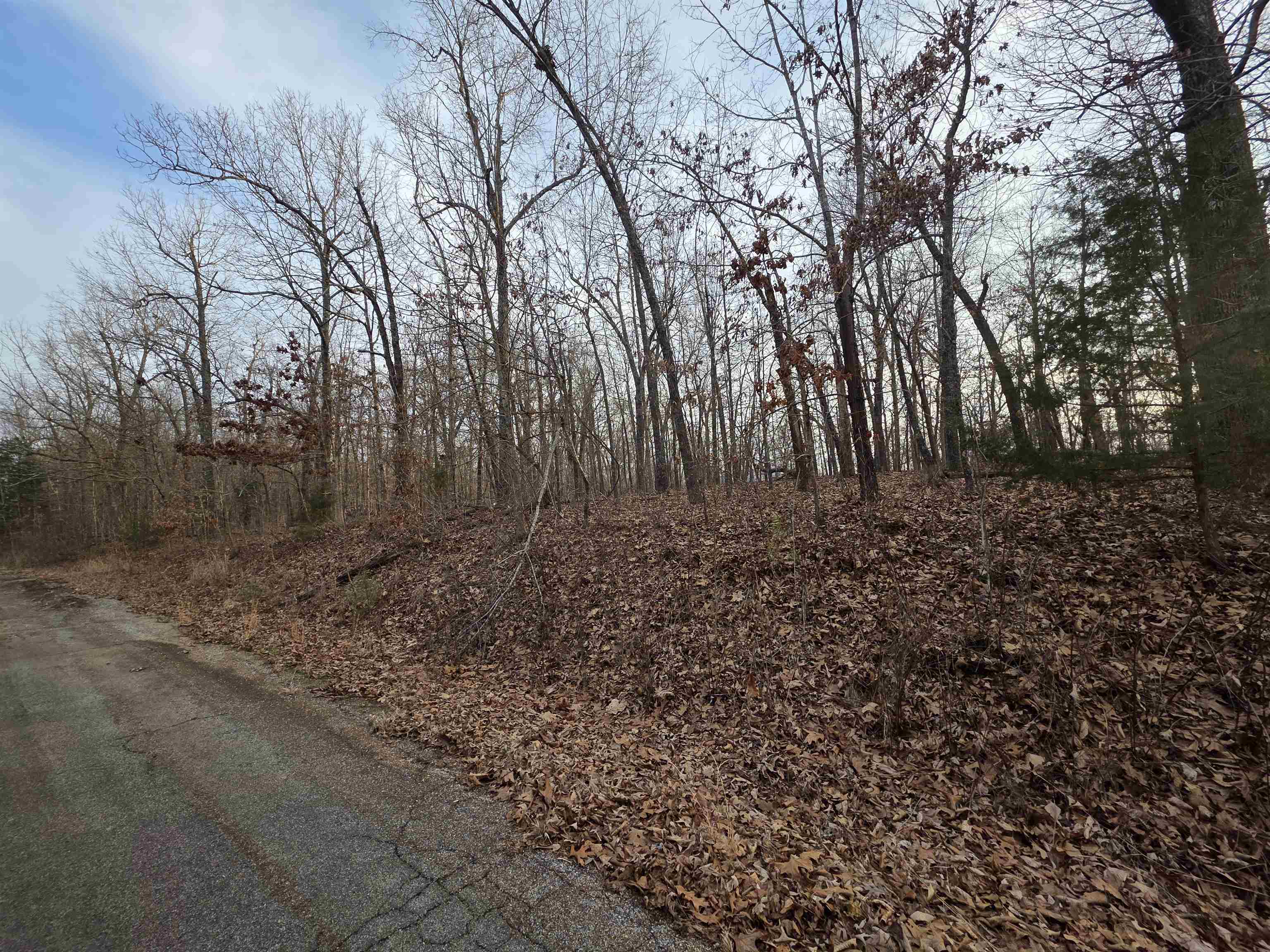 Photo 9 - Vacant Land for sale – L39 B1  Nakoma   Cherokee Village, AR