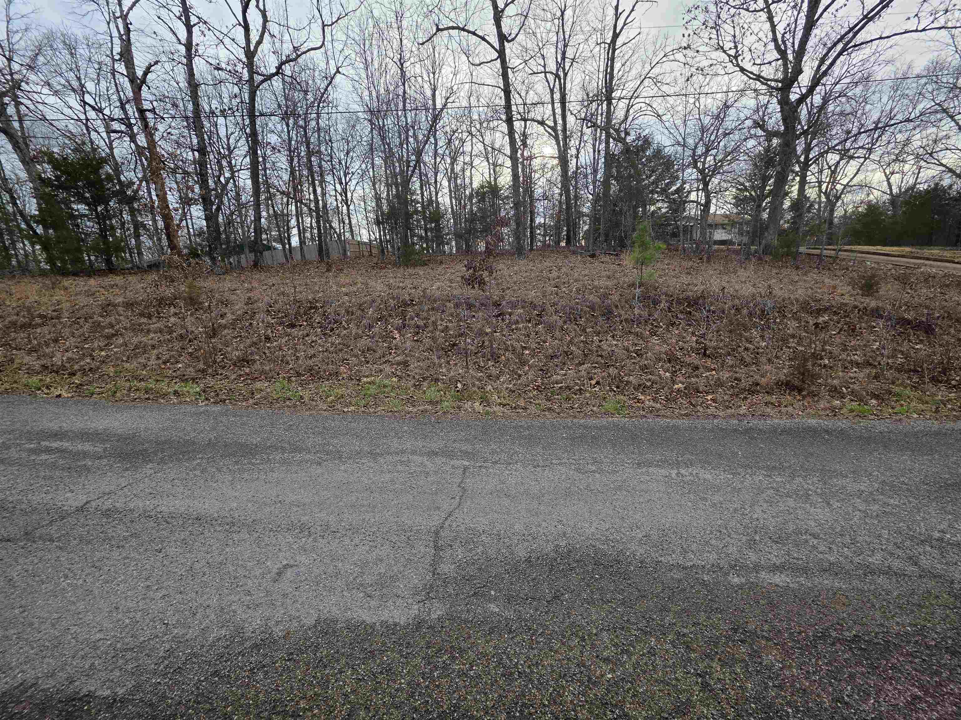 Vacant Land for sale – L23 B3  Delaware   Cherokee Village, AR