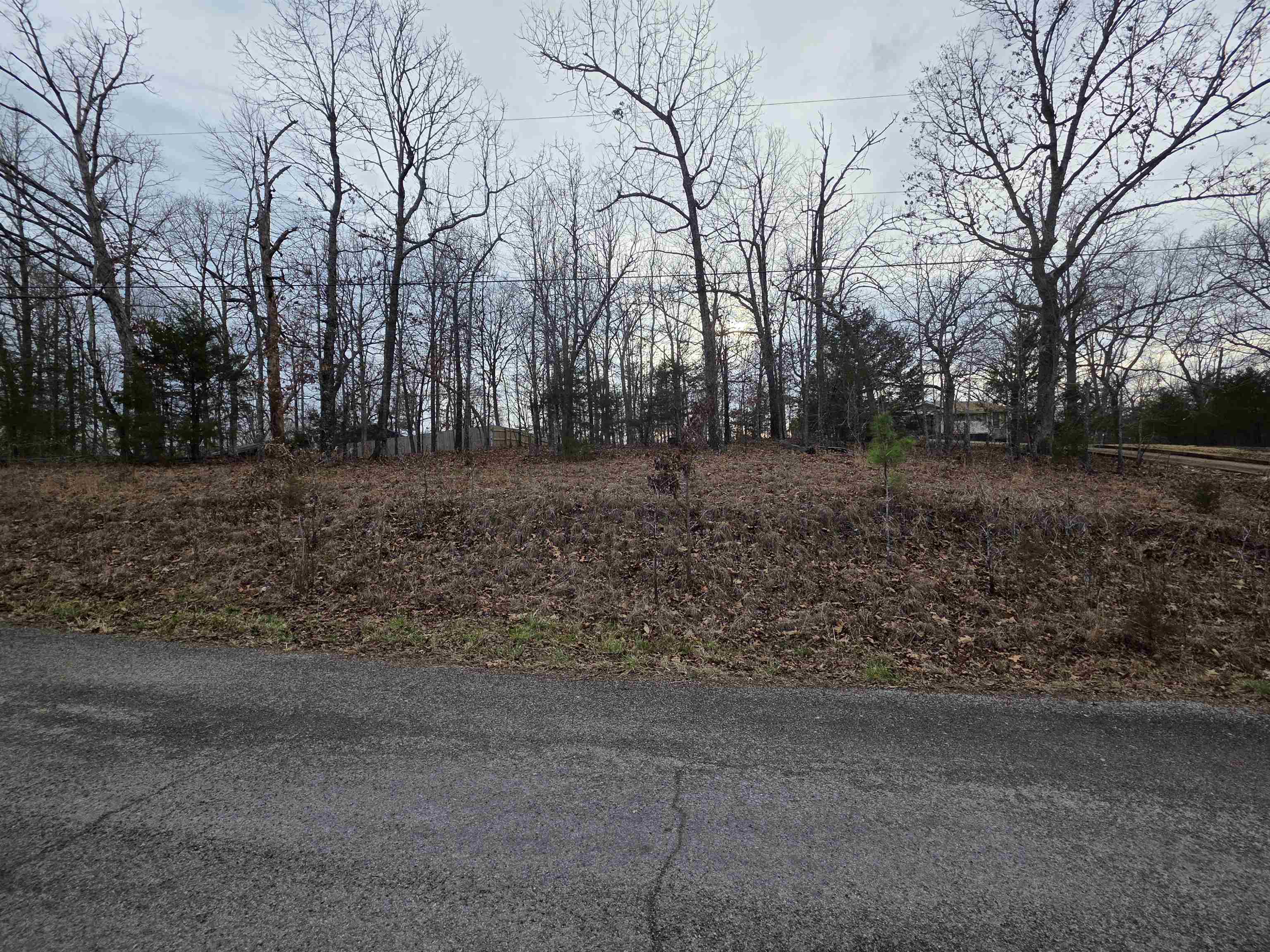 Photo 3 - Vacant Land for sale – L23 B3  Delaware   Cherokee Village, AR