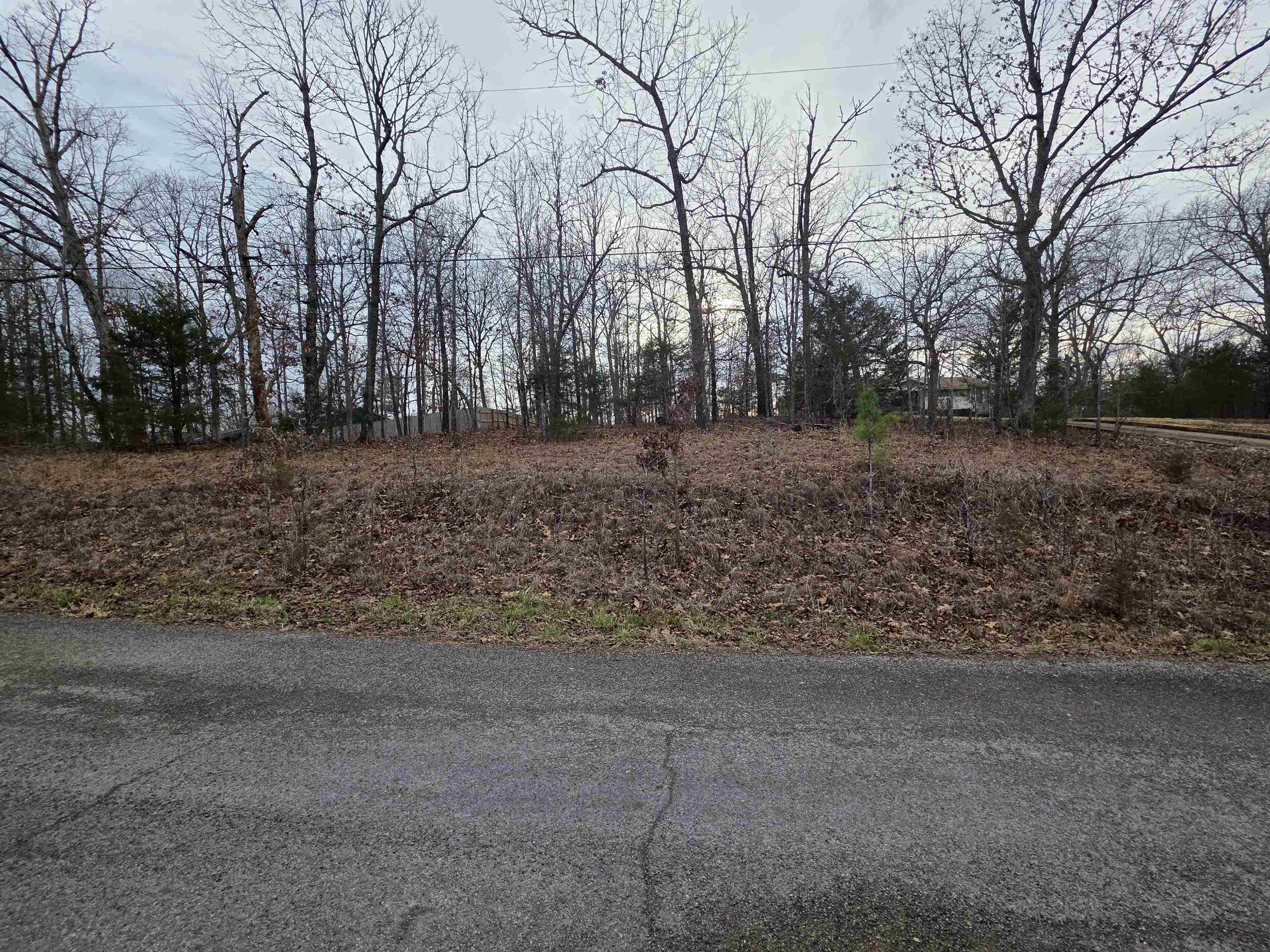 Photo 4 - Vacant Land for sale – L23 B3  Delaware   Cherokee Village, AR