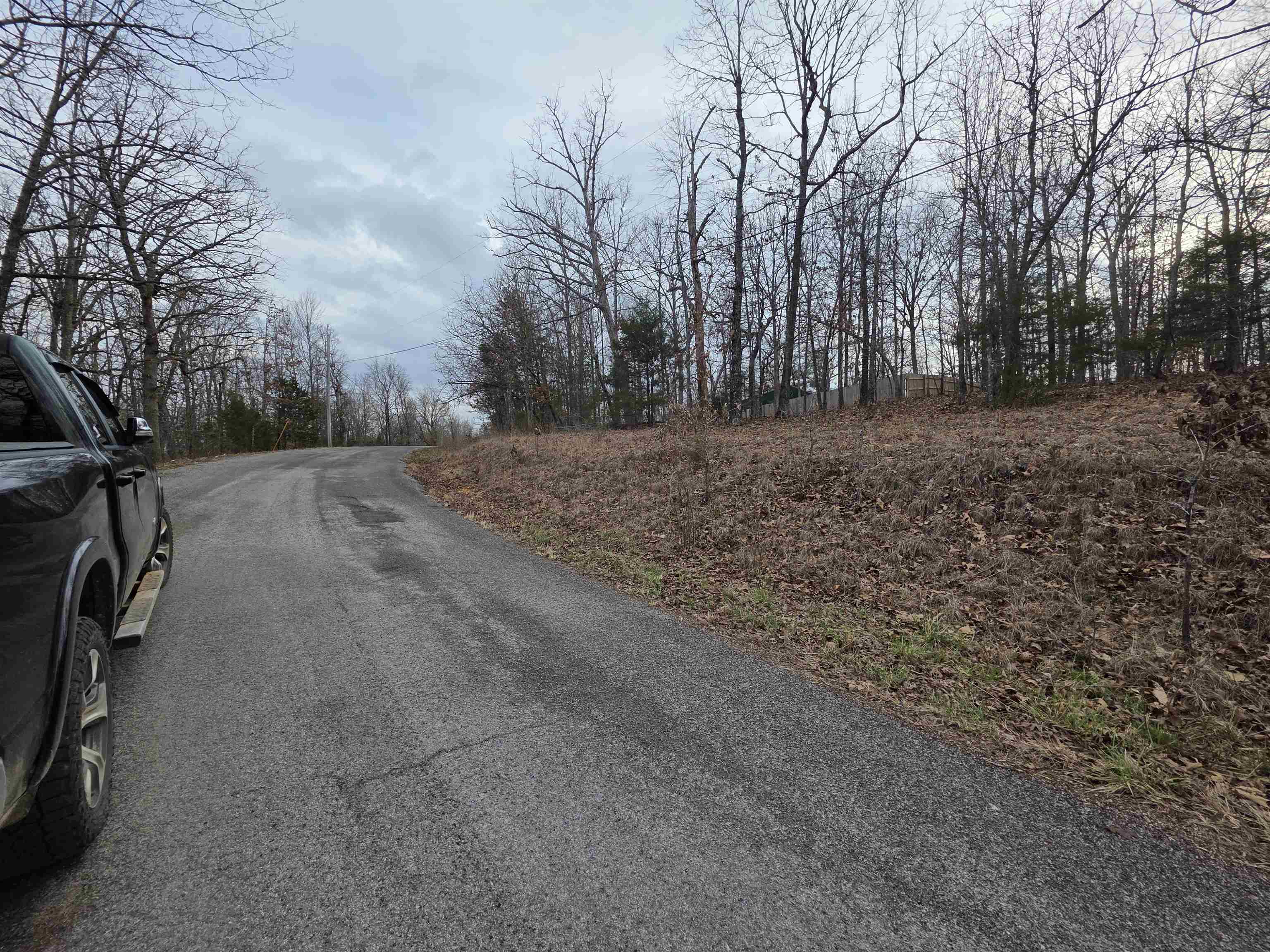 Photo 6 - Vacant Land for sale – L23 B3  Delaware   Cherokee Village, AR