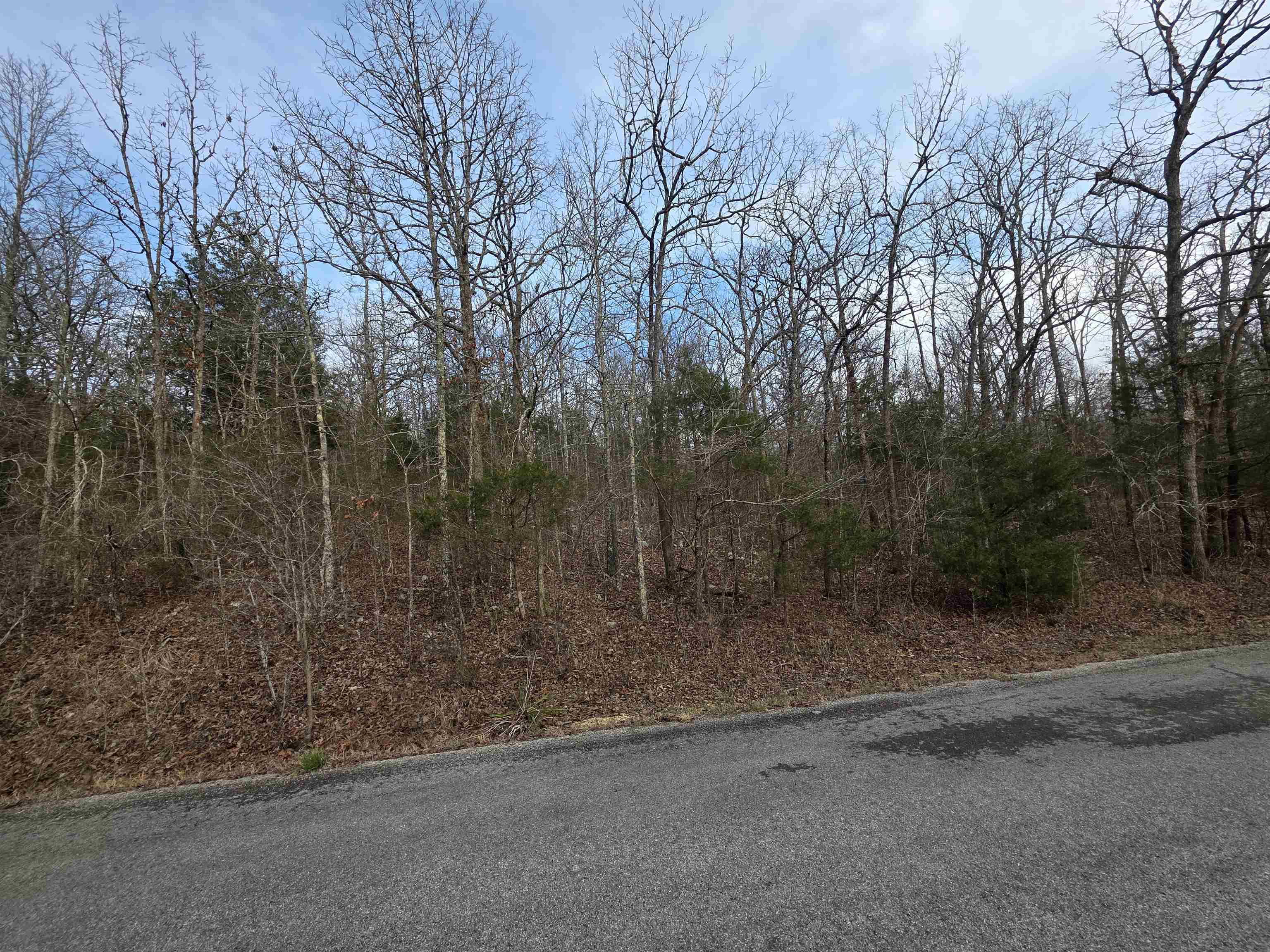 Photo 11 - Vacant Land for sale – L26 B4  Boanna   Cherokee Village, AR