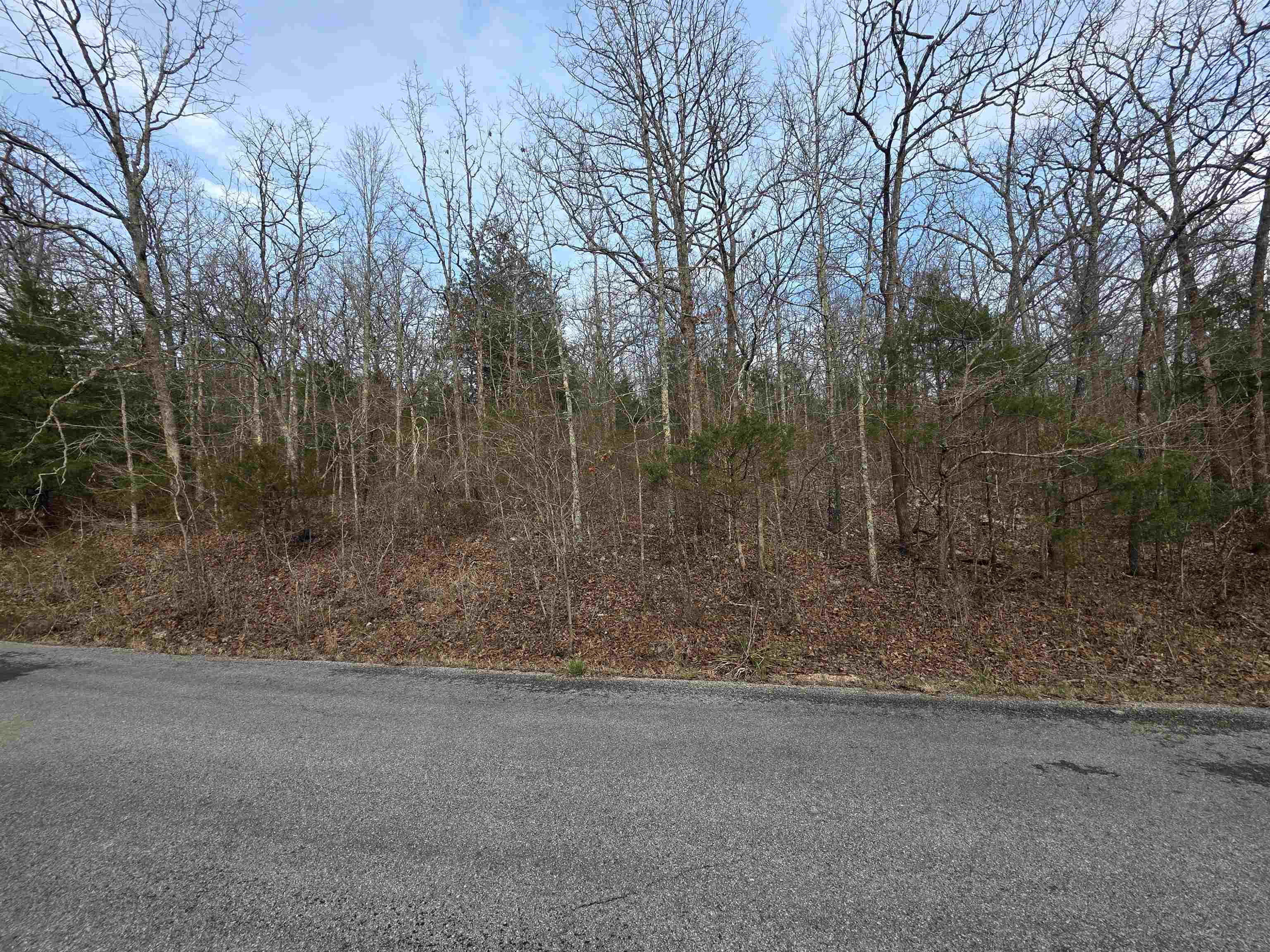 Photo 13 - Vacant Land for sale – L26 B4  Boanna   Cherokee Village, AR