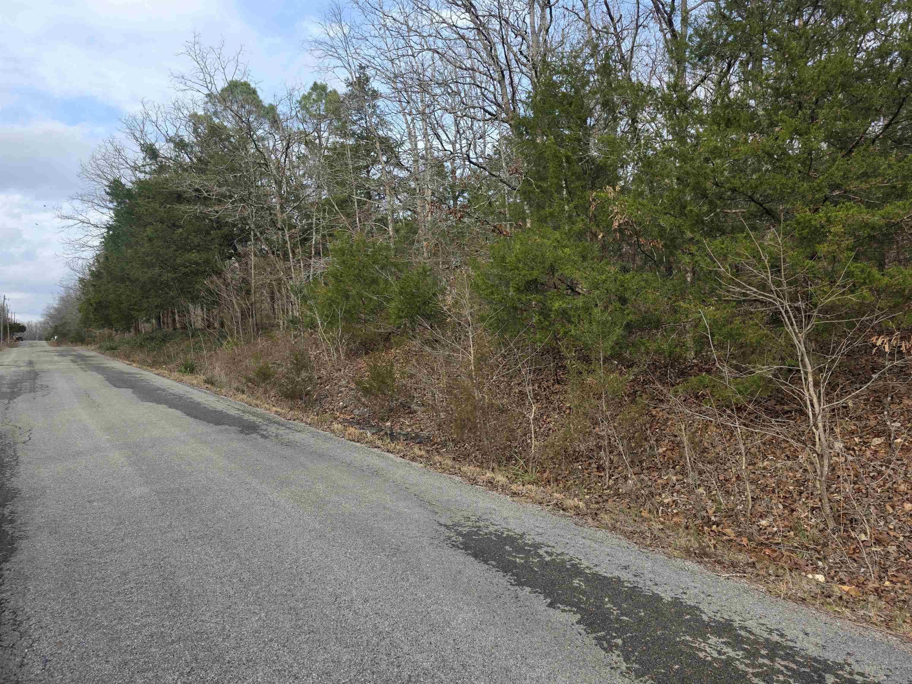 Photo 3 - Vacant Land for sale – L26 B4  Boanna   Cherokee Village, AR