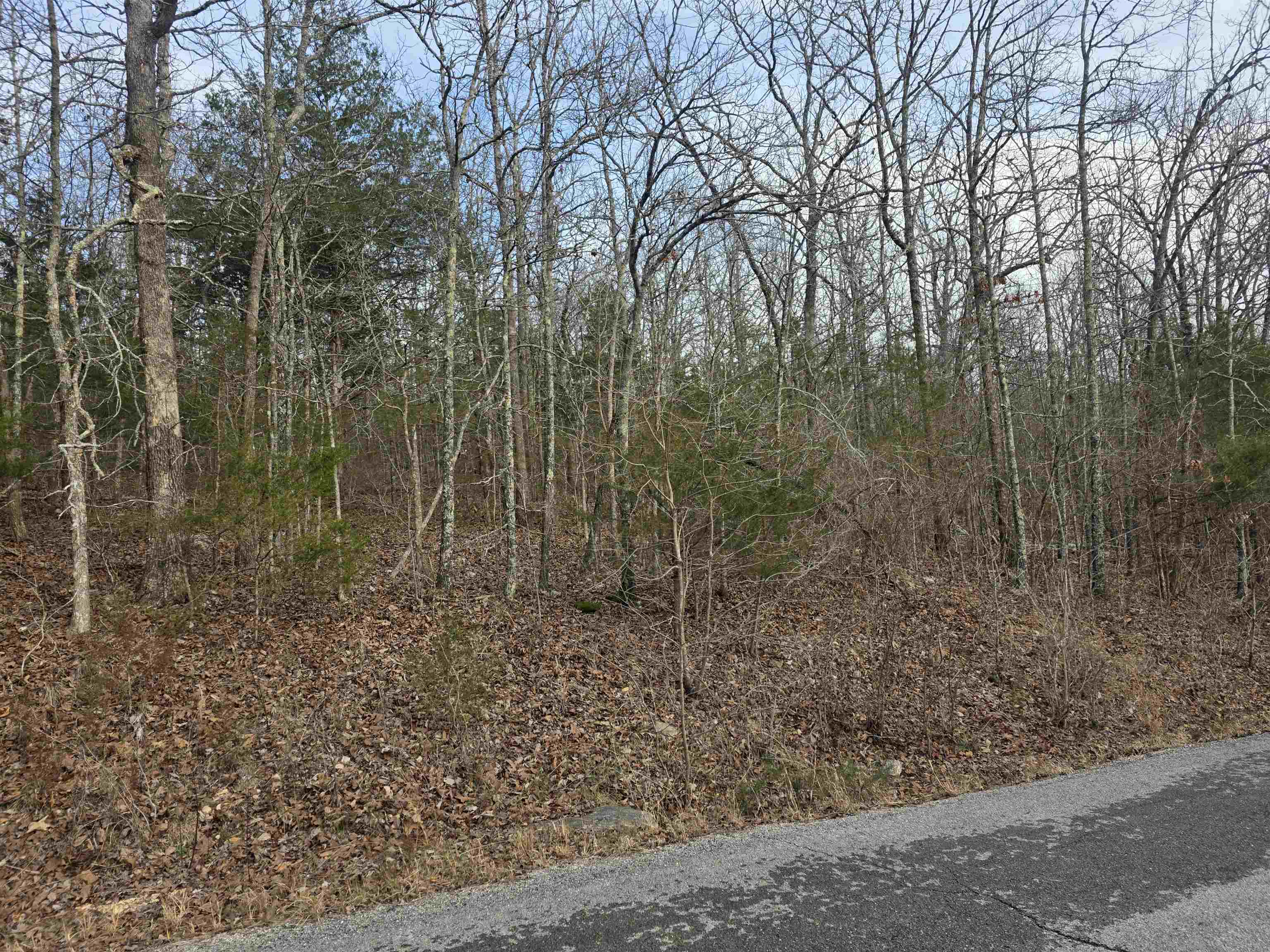 Photo 5 - Vacant Land for sale – L26 B4  Boanna   Cherokee Village, AR