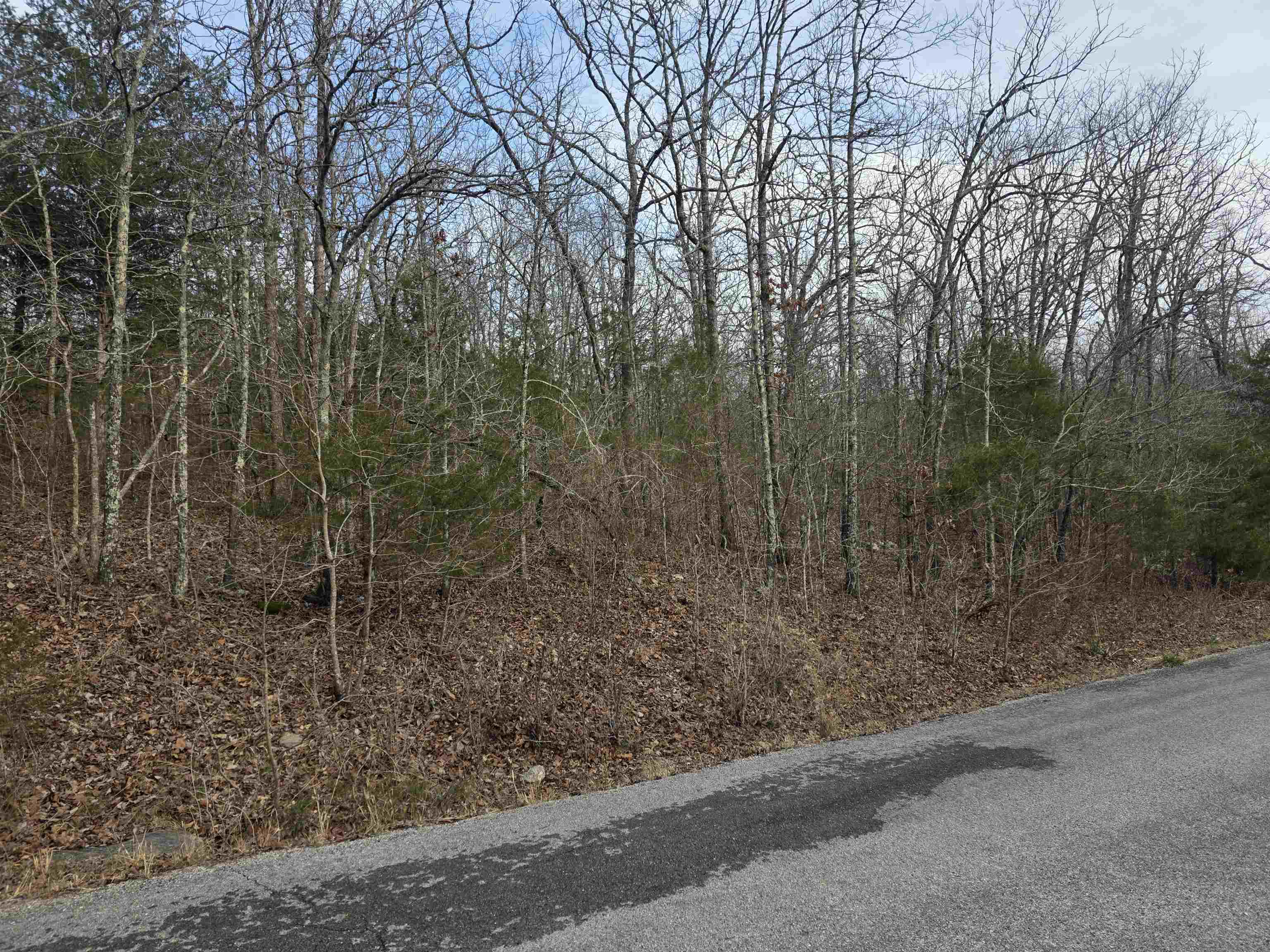 Photo 6 - Vacant Land for sale – L26 B4  Boanna   Cherokee Village, AR