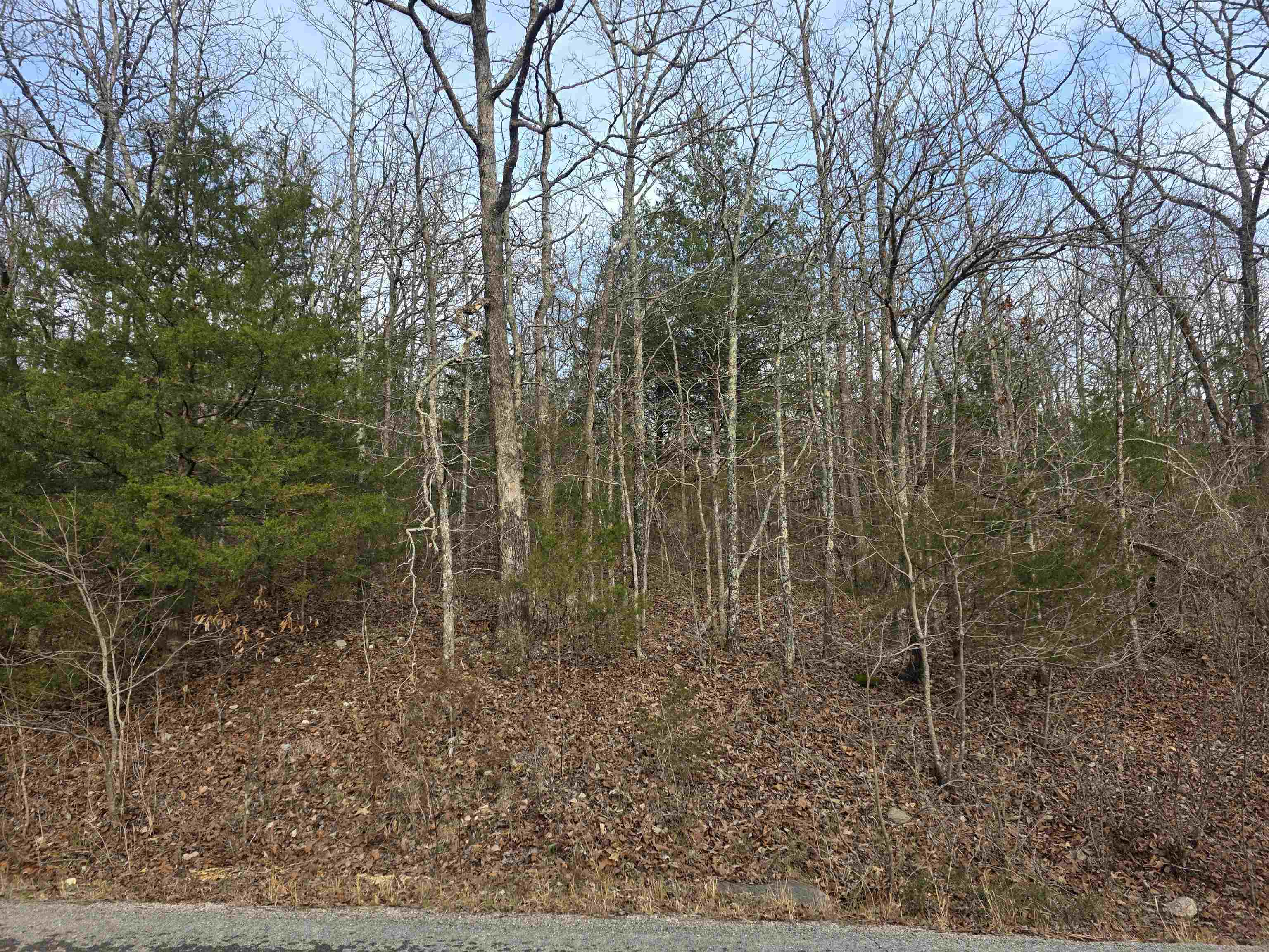 Photo 7 - Vacant Land for sale – L26 B4  Boanna   Cherokee Village, AR