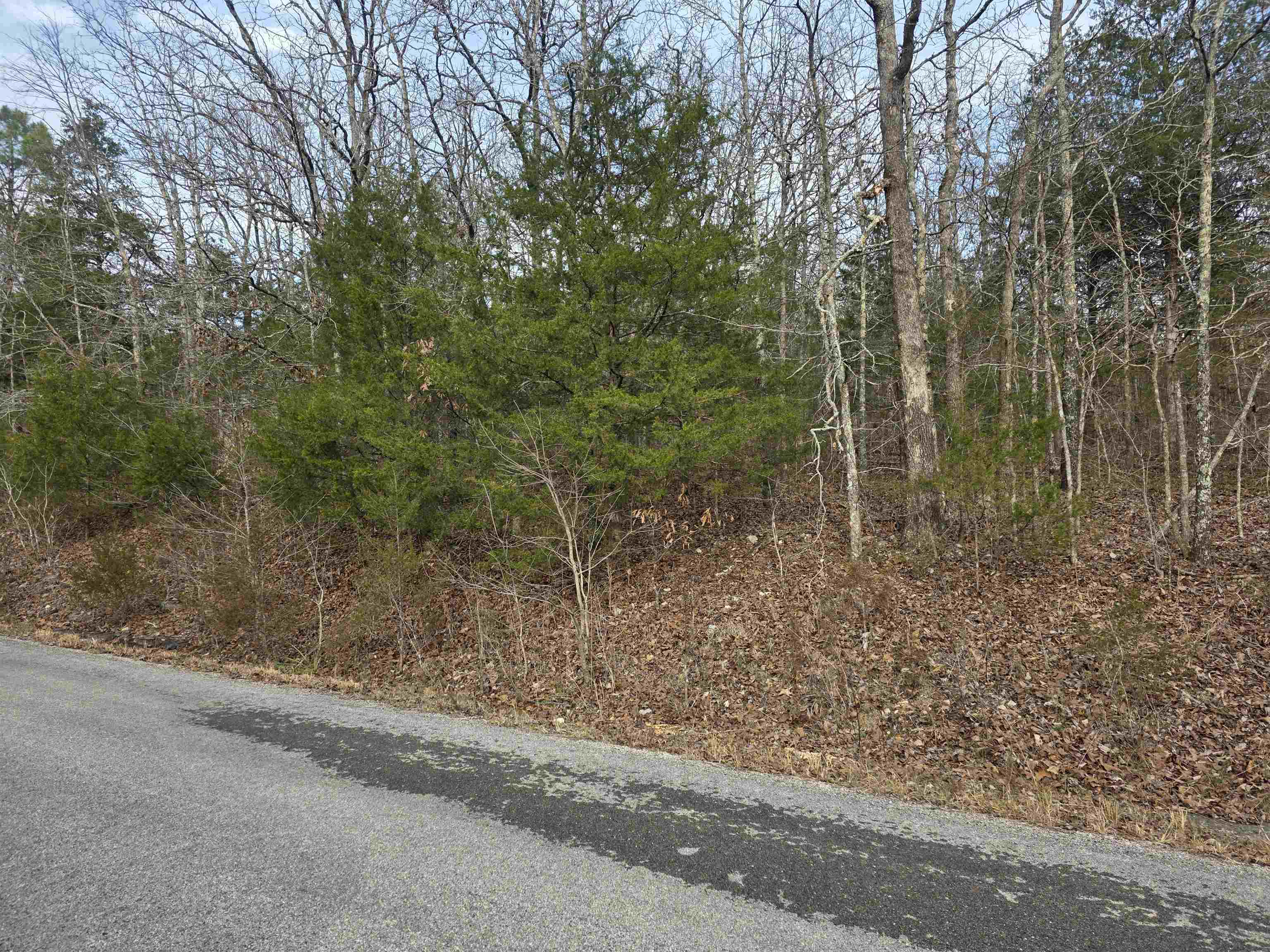 Photo 8 - Vacant Land for sale – L26 B4  Boanna   Cherokee Village, AR