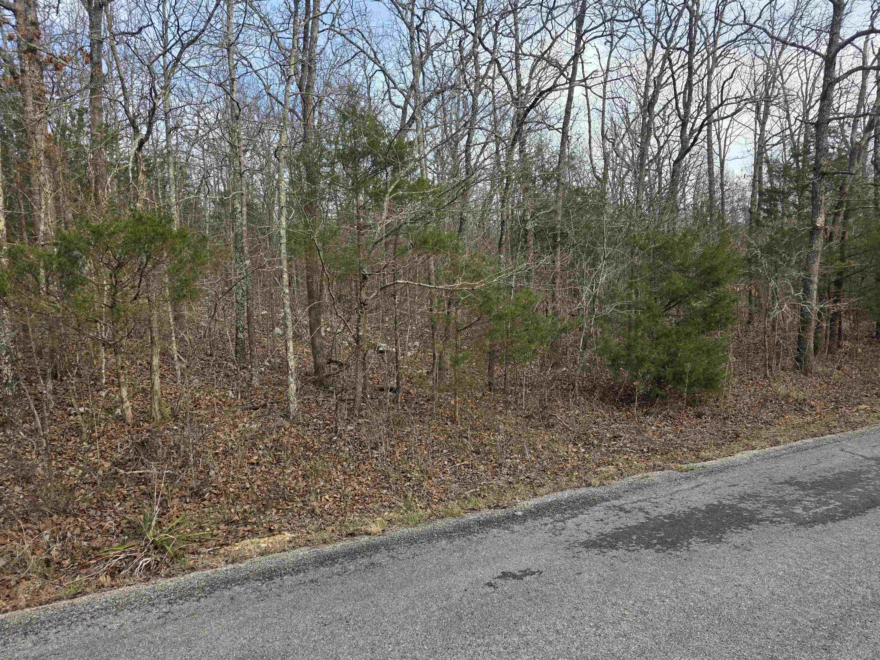 Photo 9 - Vacant Land for sale – L26 B4  Boanna   Cherokee Village, AR