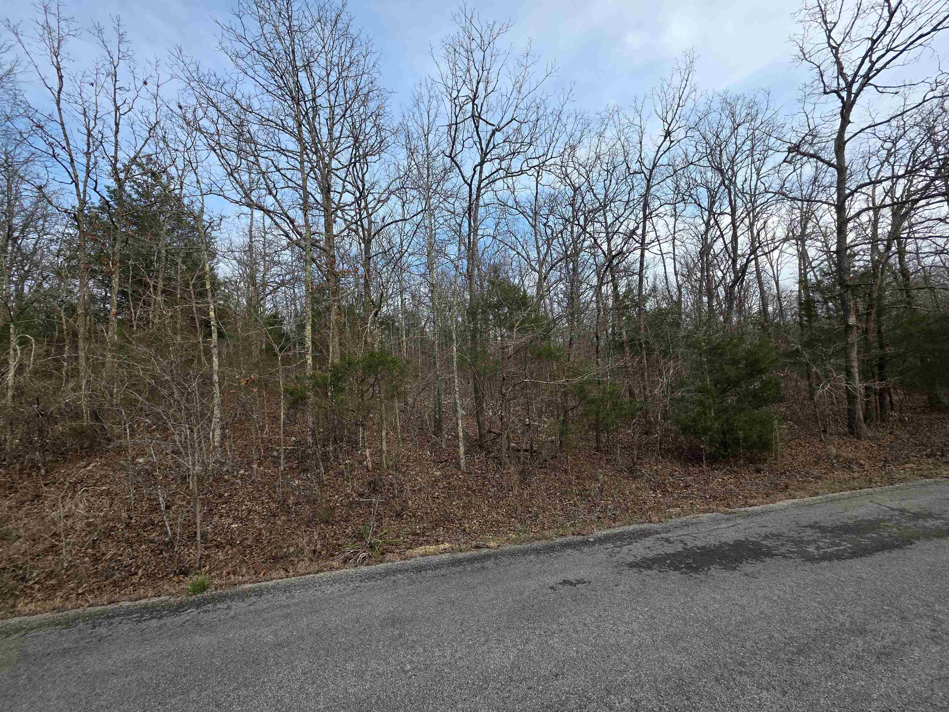 Photo 10 - Vacant Land for sale – L26 B4  Boanna   Cherokee Village, AR