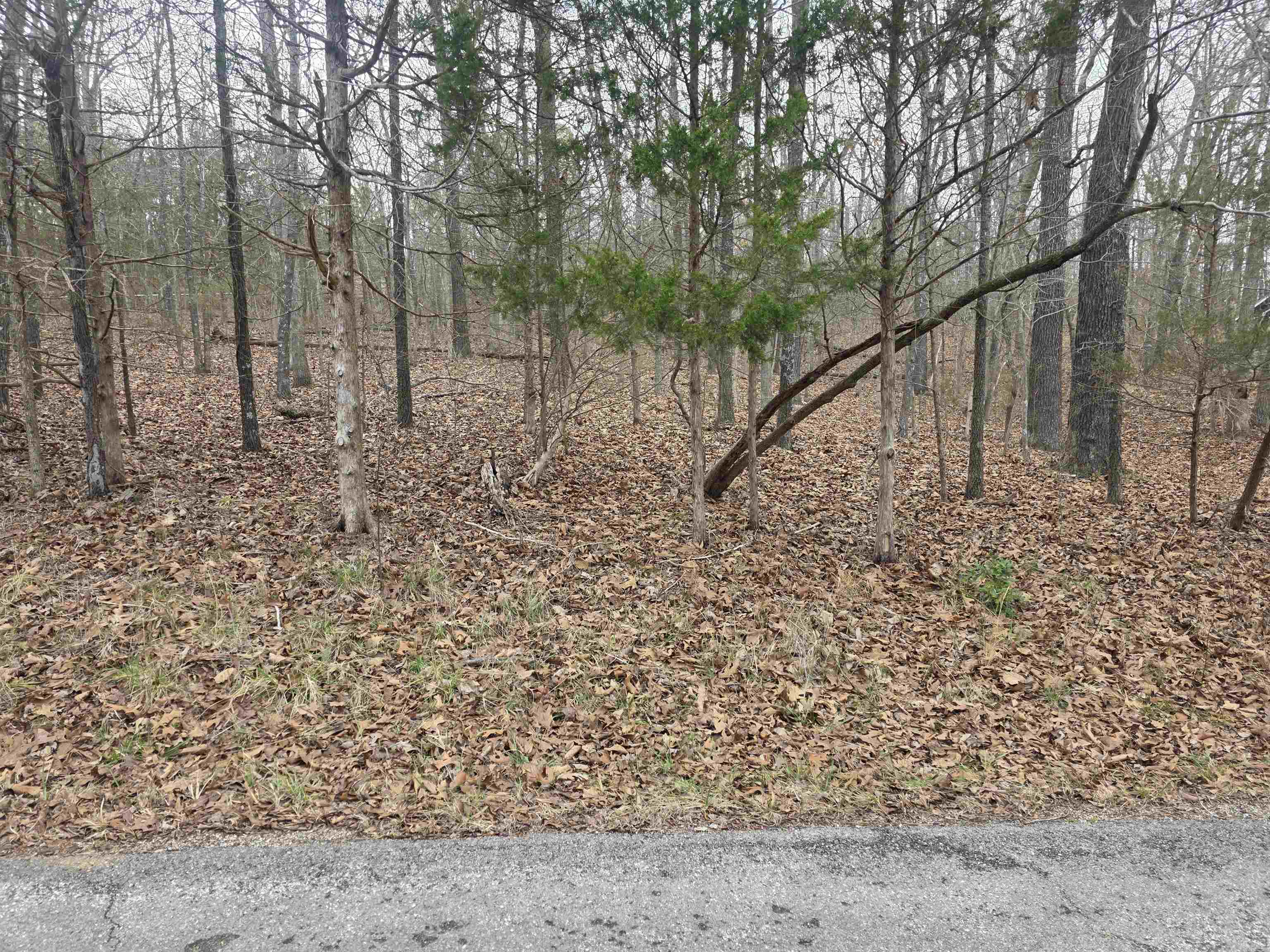 Vacant Land for sale – L3 B12  Spring Water   Cherokee Village, AR
