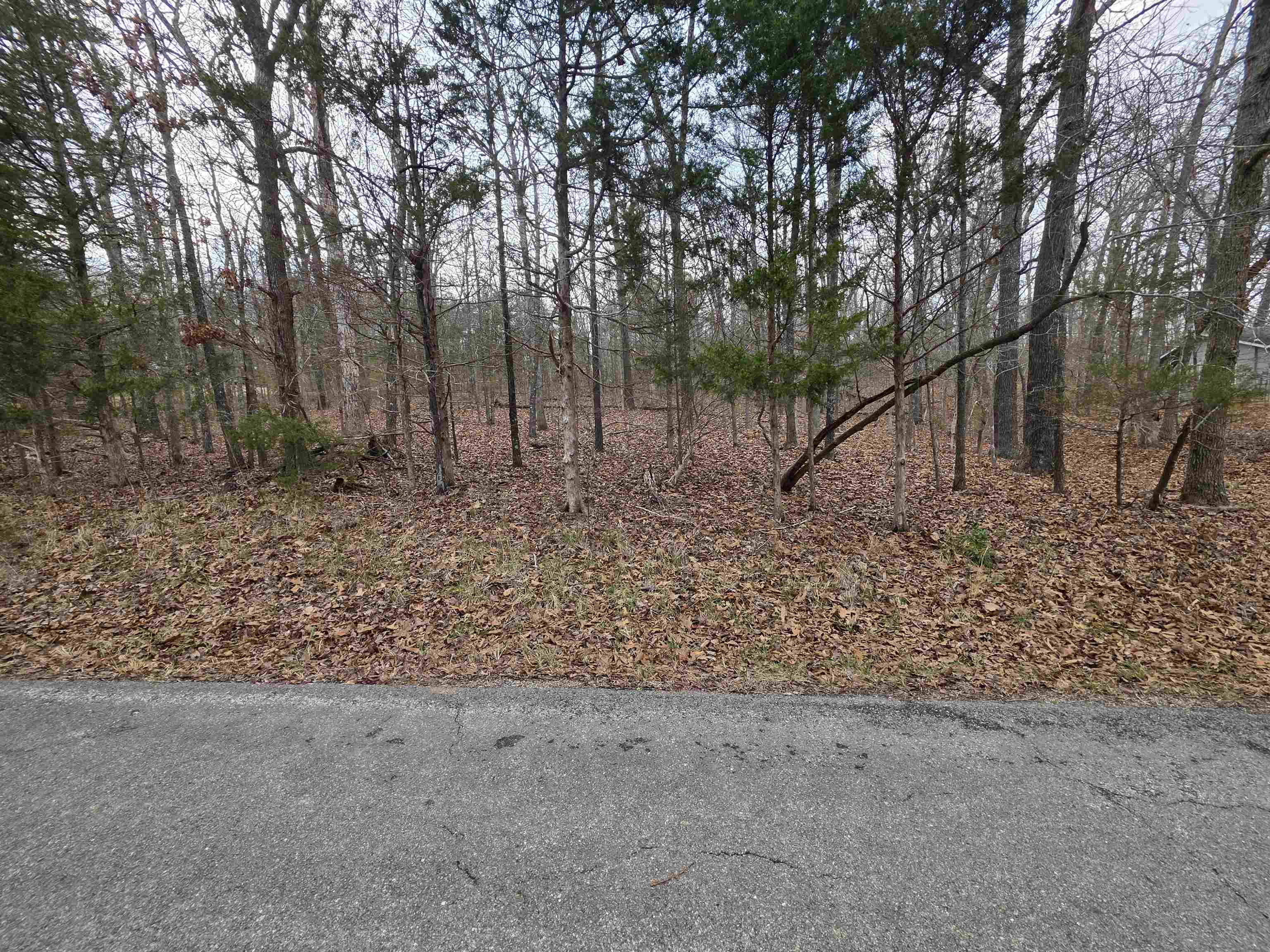 Photo 3 - Vacant Land for sale – L3 B12  Spring Water   Cherokee Village, AR